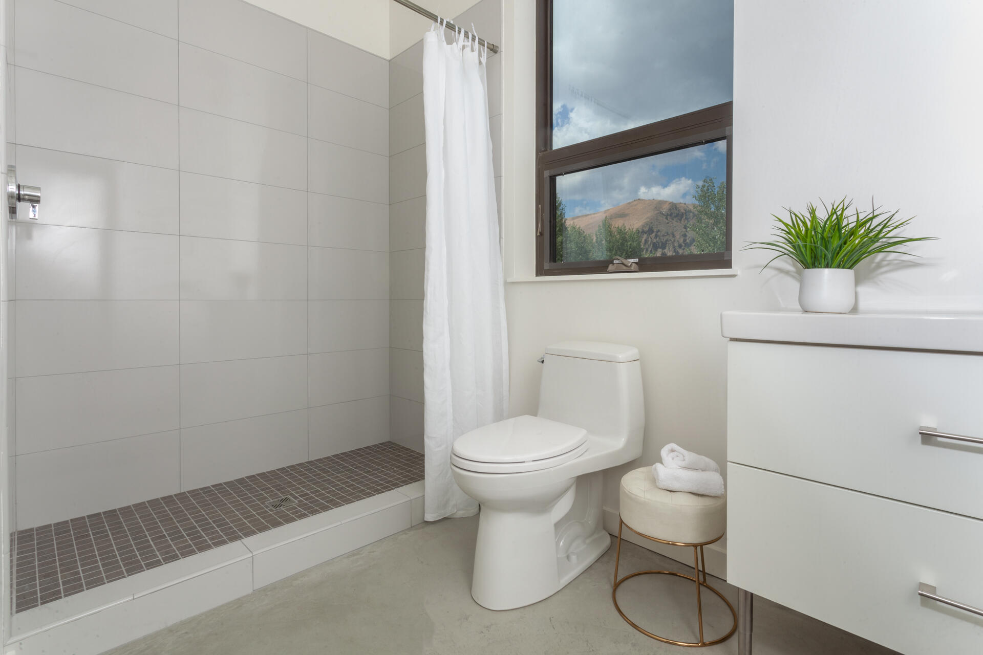 250 Amatopia Way, Hailey, Idaho image 8
