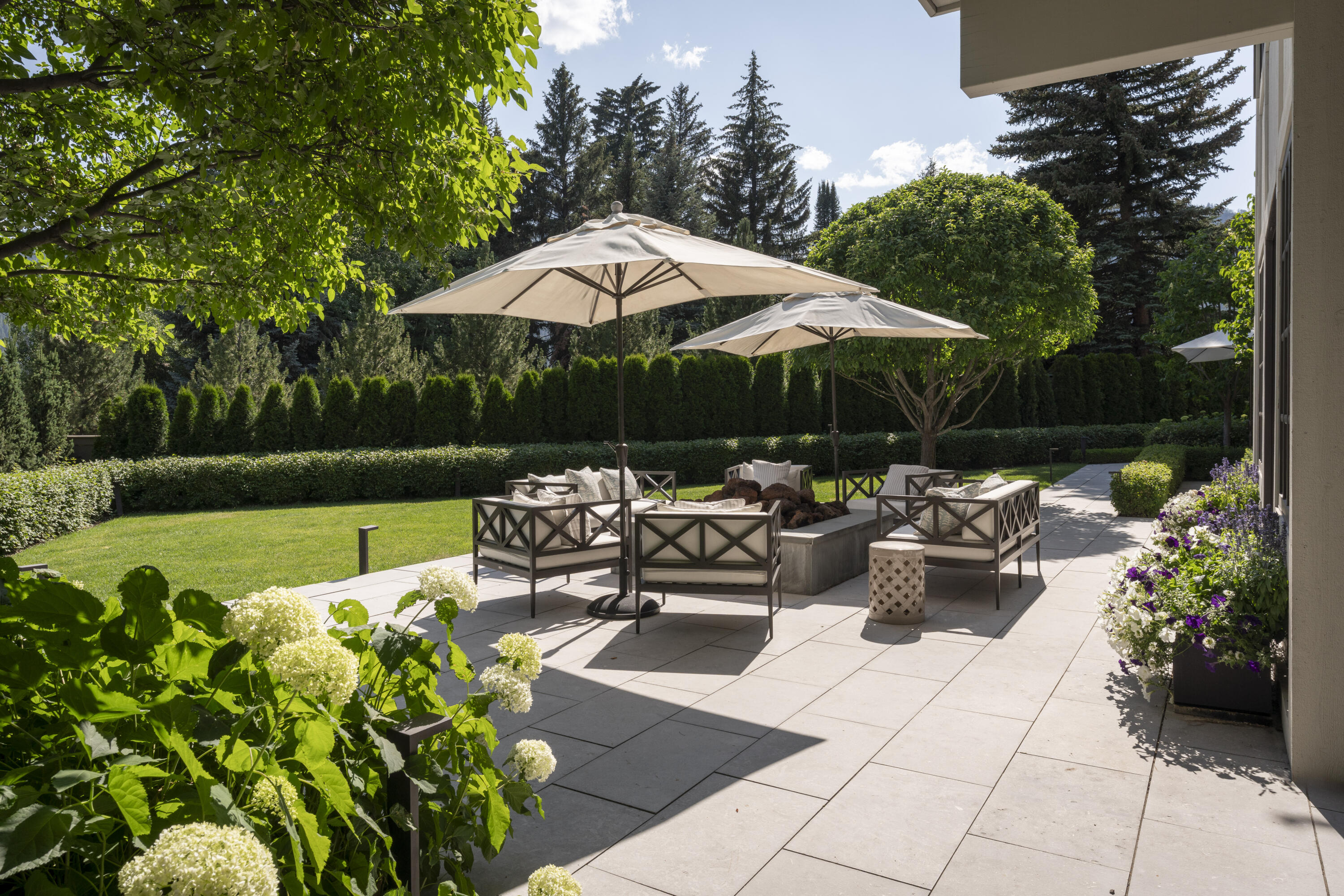Yard in Summer