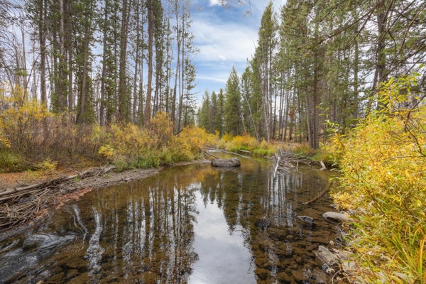 773 SMILEY CREEK RD, SAWTOOTH CITY, ID 83340 - Image 73da1391cb970f2f3dfcecfa2f21d04d/832282117