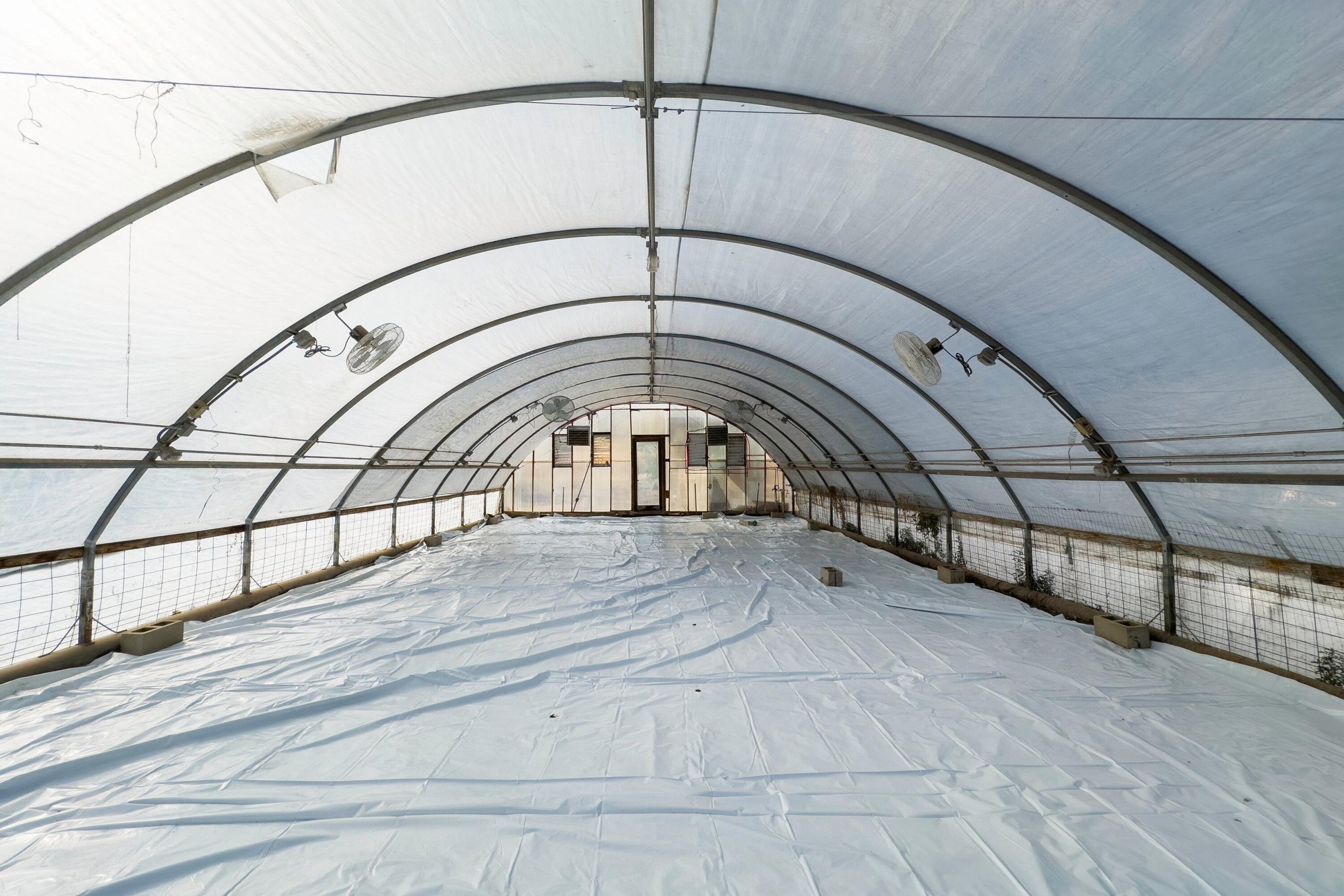 035_061_img_0291_105