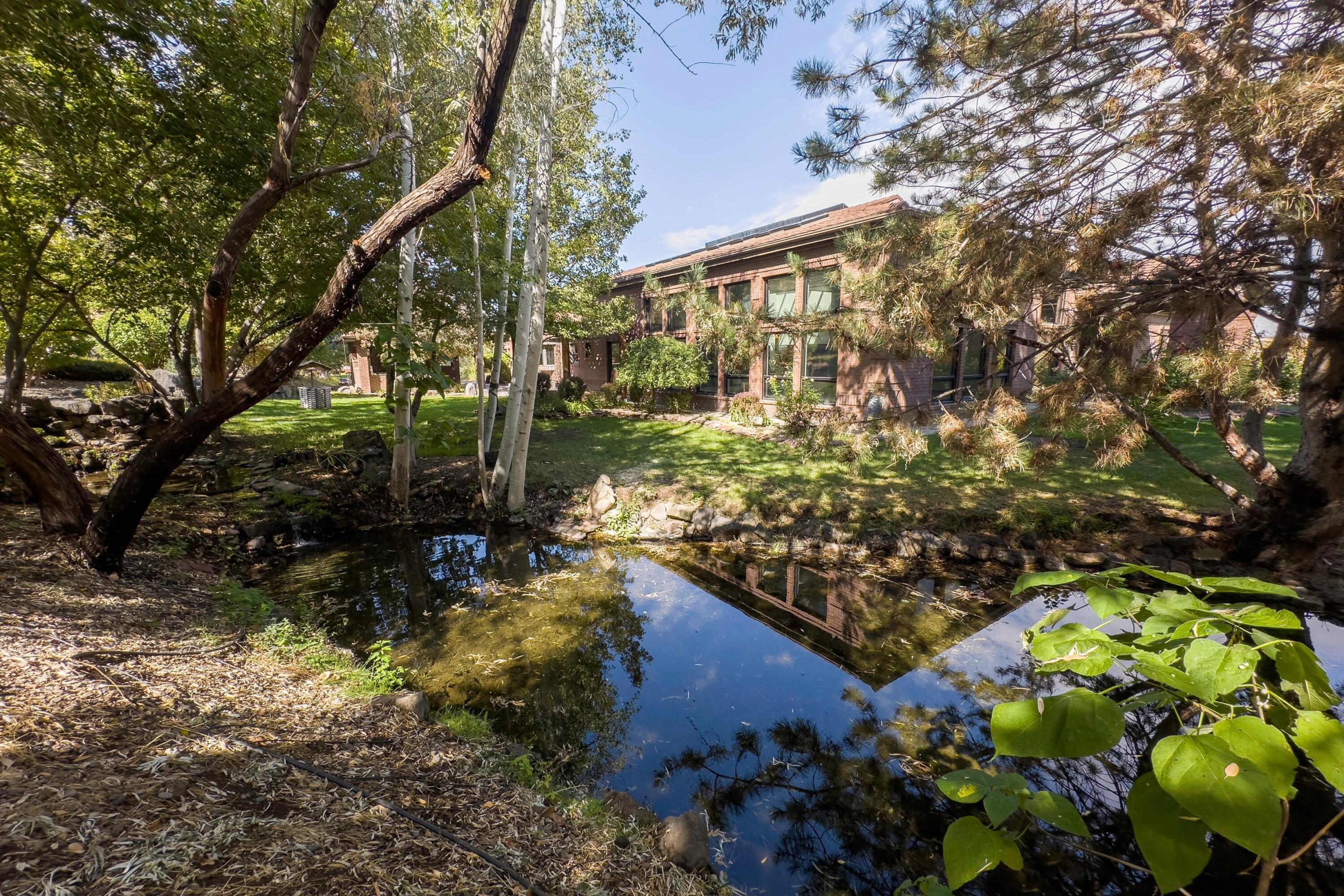 002_015_img_9976_996