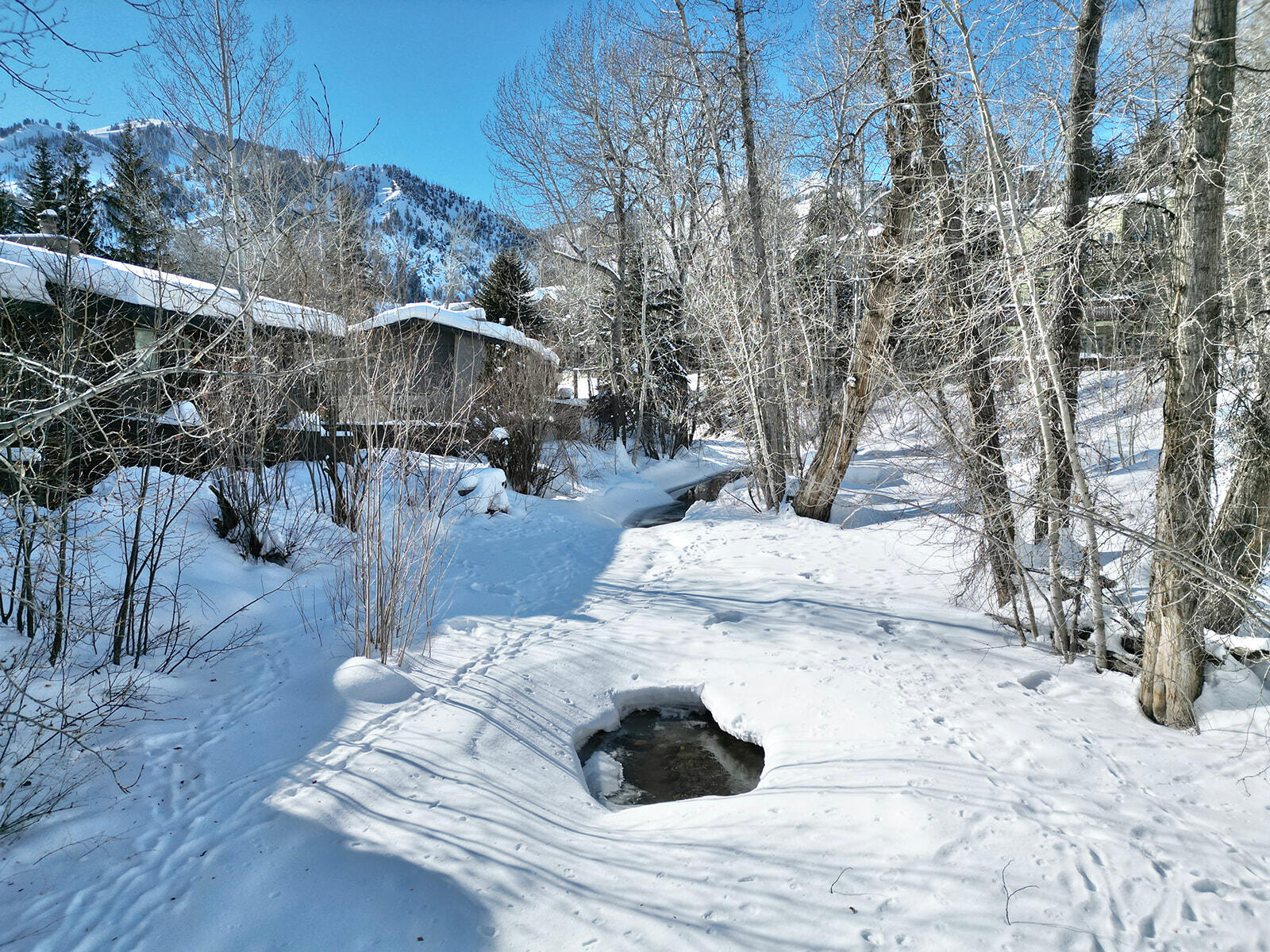 305 Andora Lane #130, Ketchum, Idaho image 33
