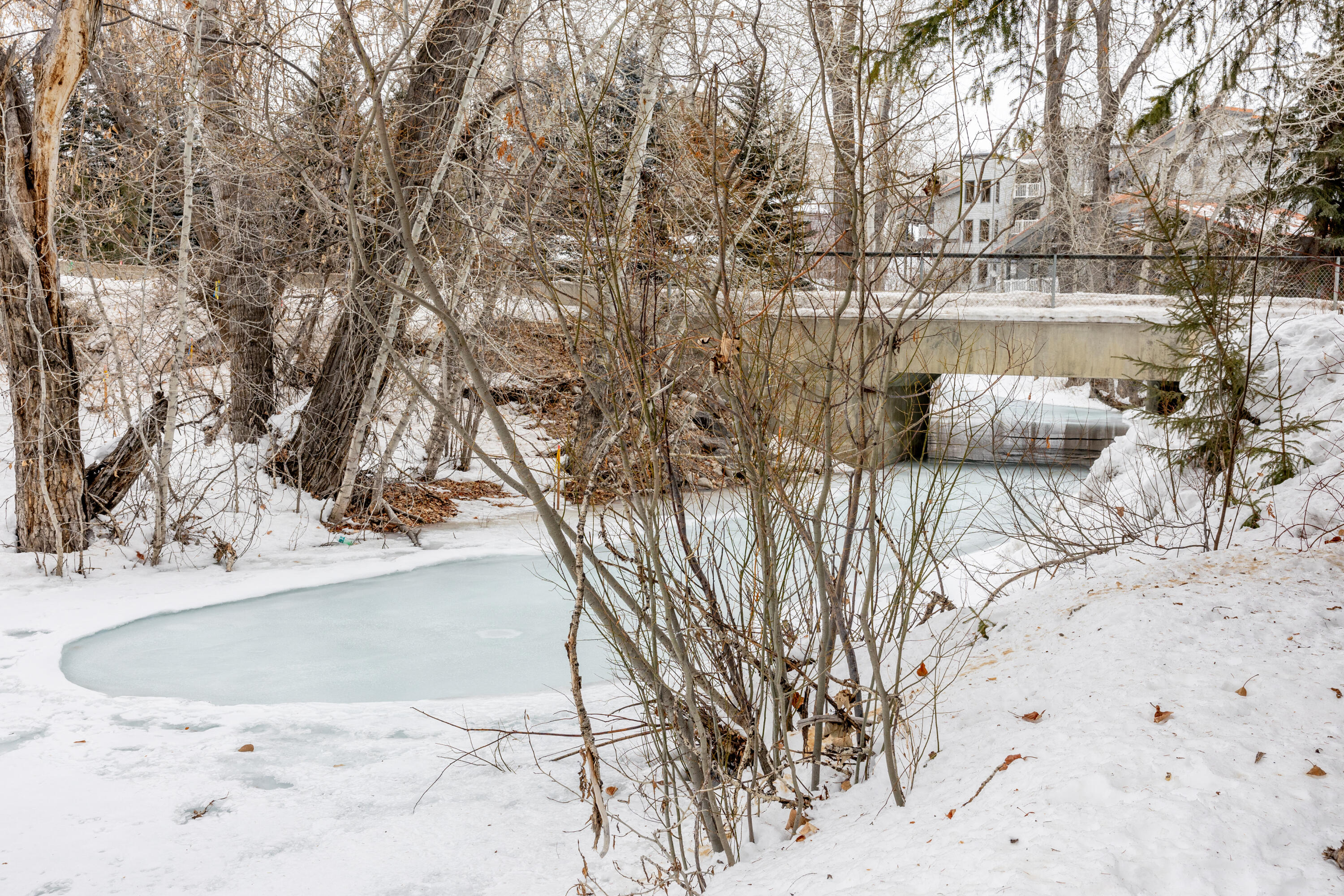 305 Andora Lane #130, Ketchum, Idaho image 23