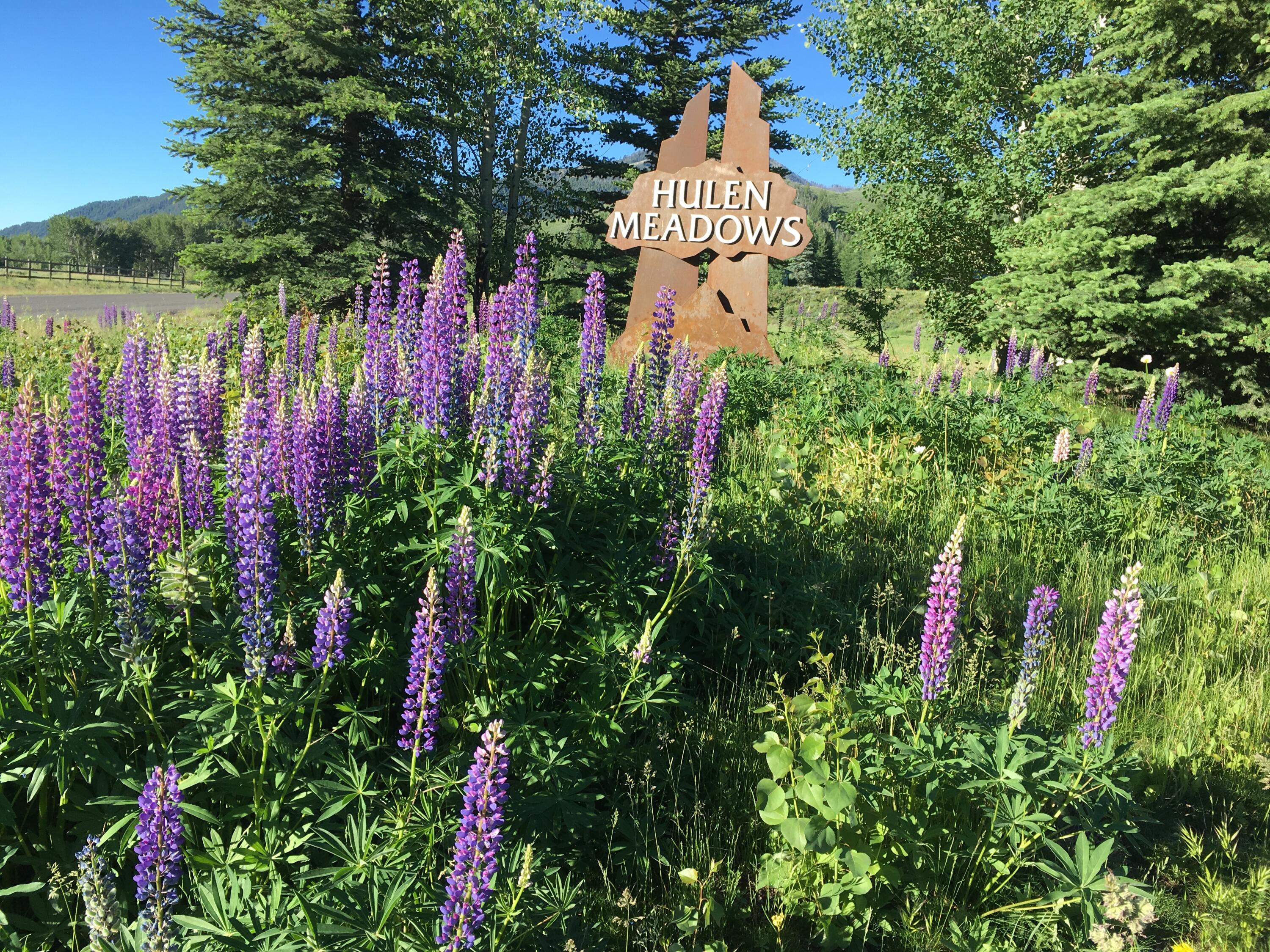 Blaine County, Idaho 83340, United States, ,Land,Active,154077