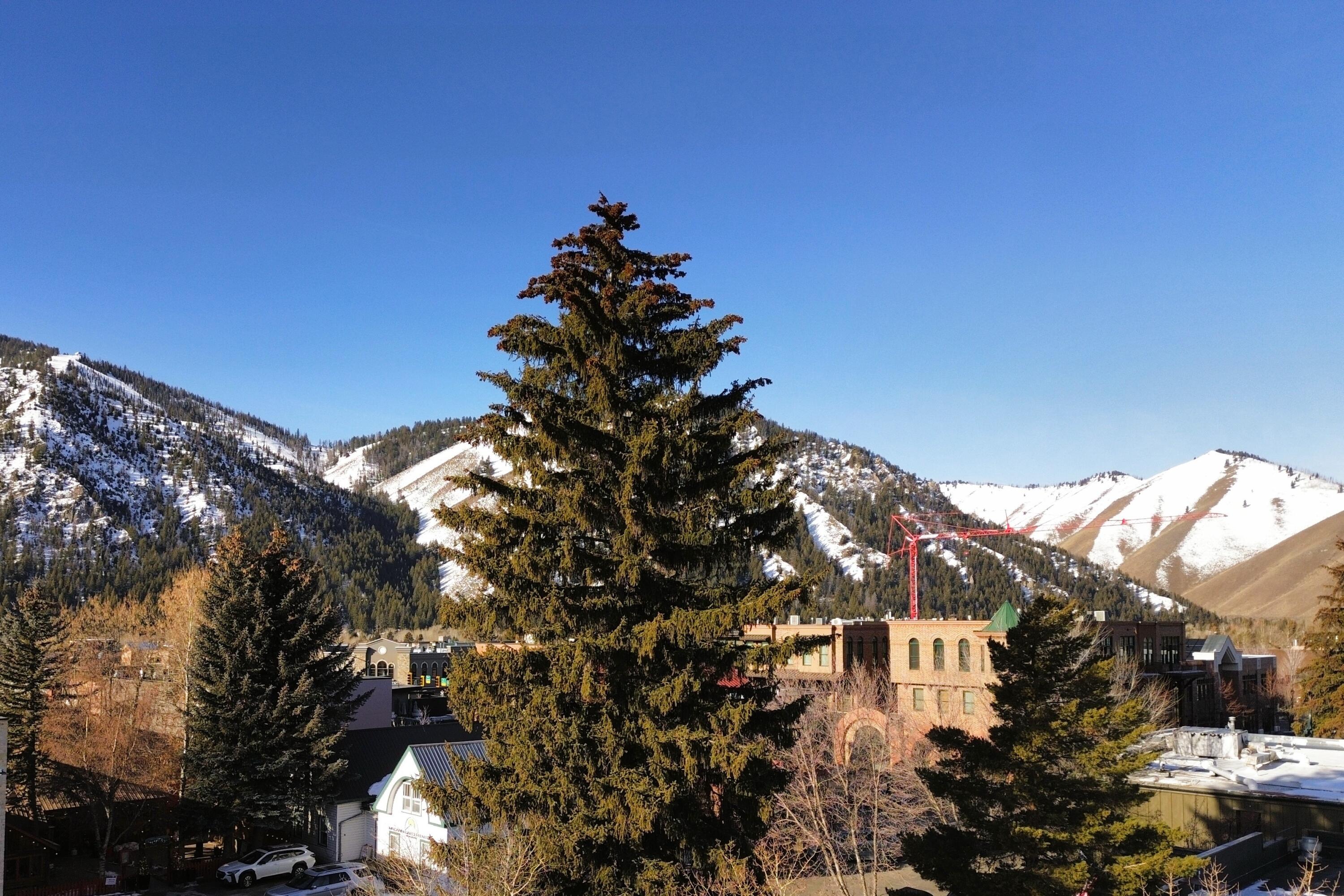 Winter View Northwest