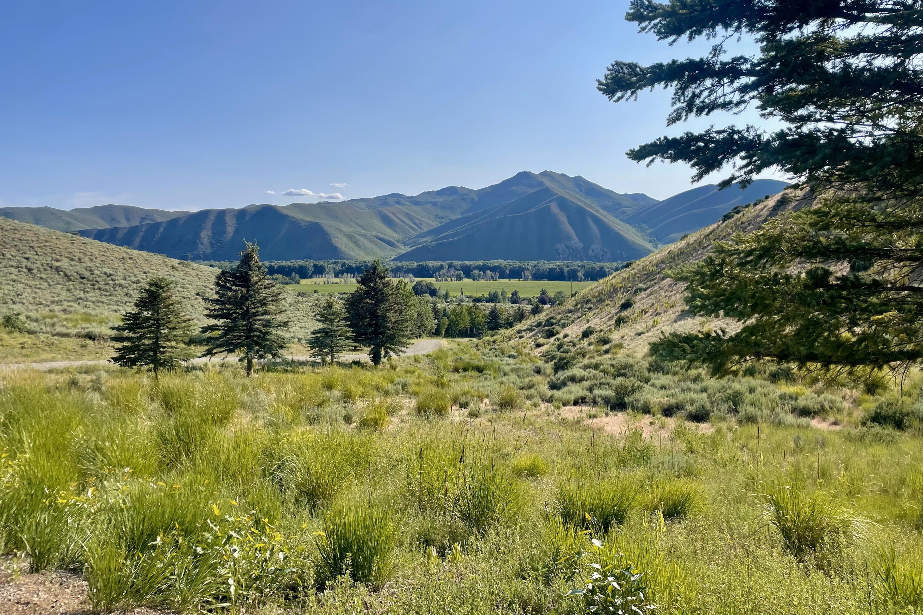 Blaine County, Idaho 83313, United States, ,Land,Active,161208