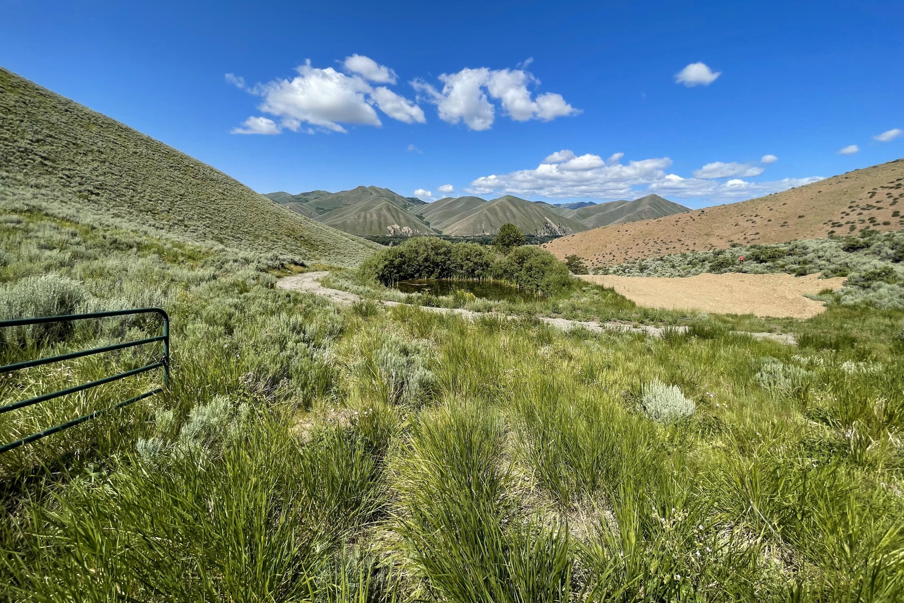 Blaine County, Idaho 83313, United States, ,Land,Active,161208