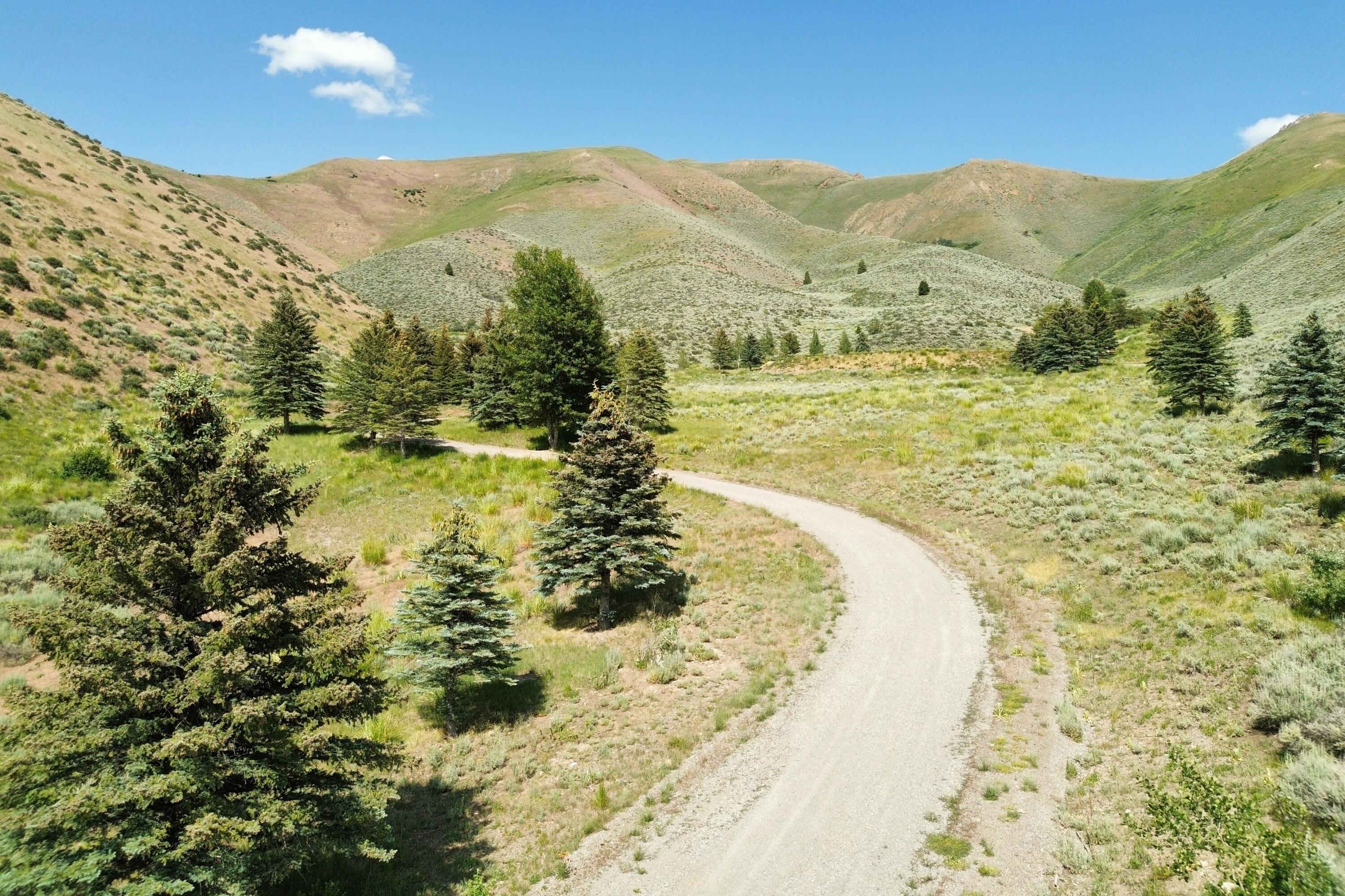 Blaine County, Idaho 83313, United States, ,Land,Active,161208