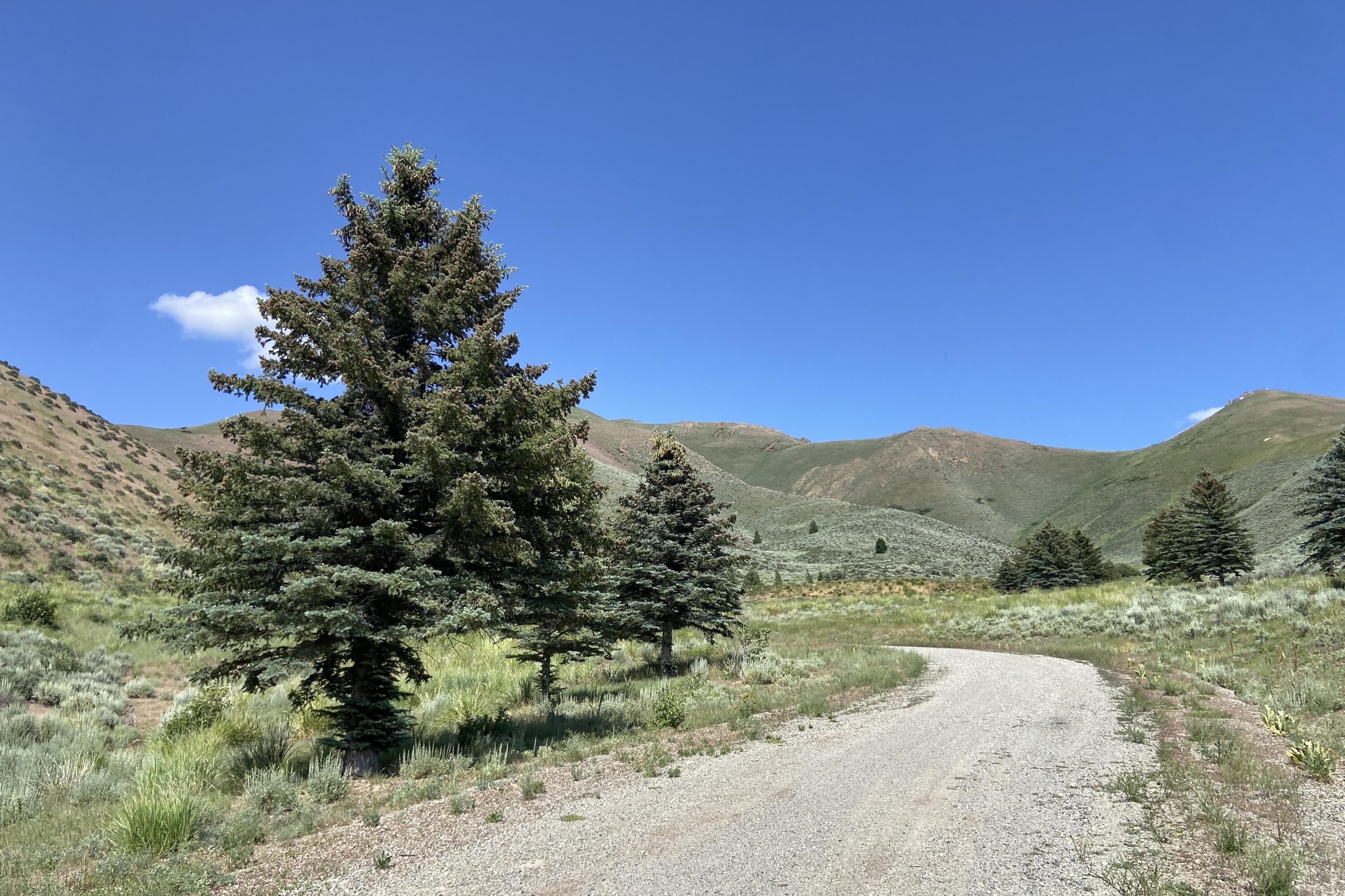 Blaine County, Idaho 83313, United States, ,Land,Active,161208