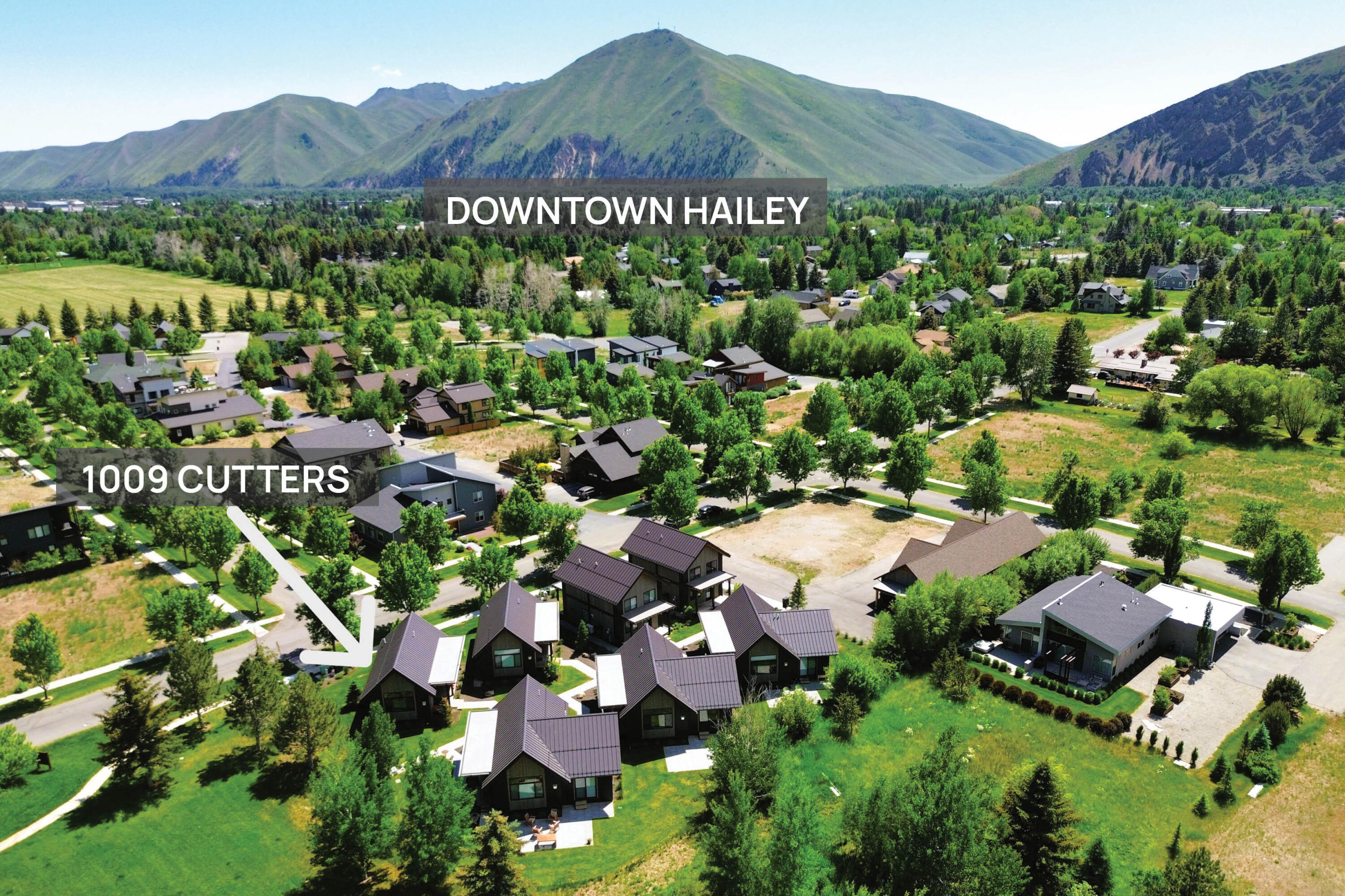 1009 Cutters Dr, Hailey, Idaho image 23