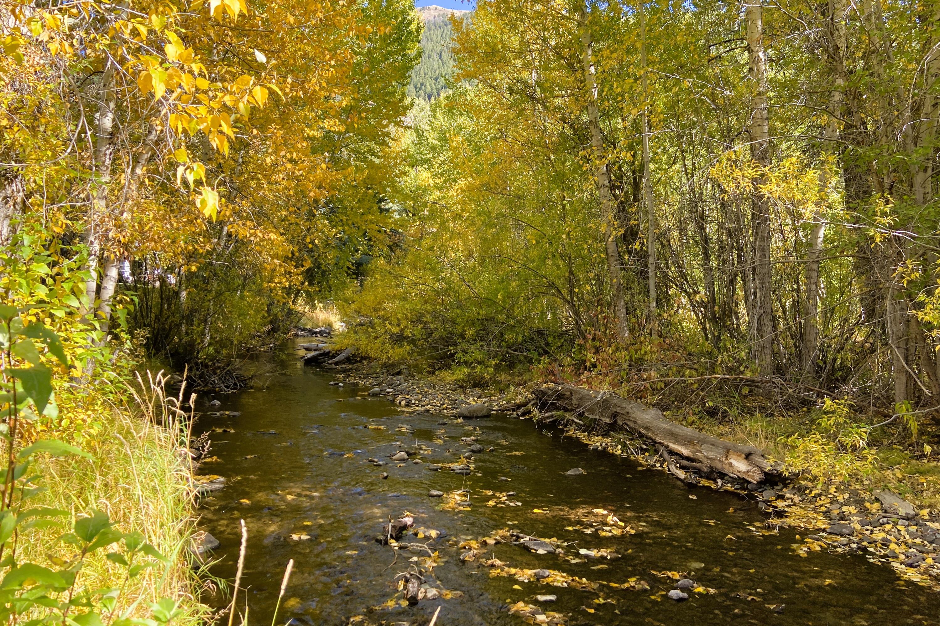 Blaine County, Idaho 83340, United States, 6 Bedrooms Bedrooms, ,5 BathroomsBathrooms,Residential,Pending,52288