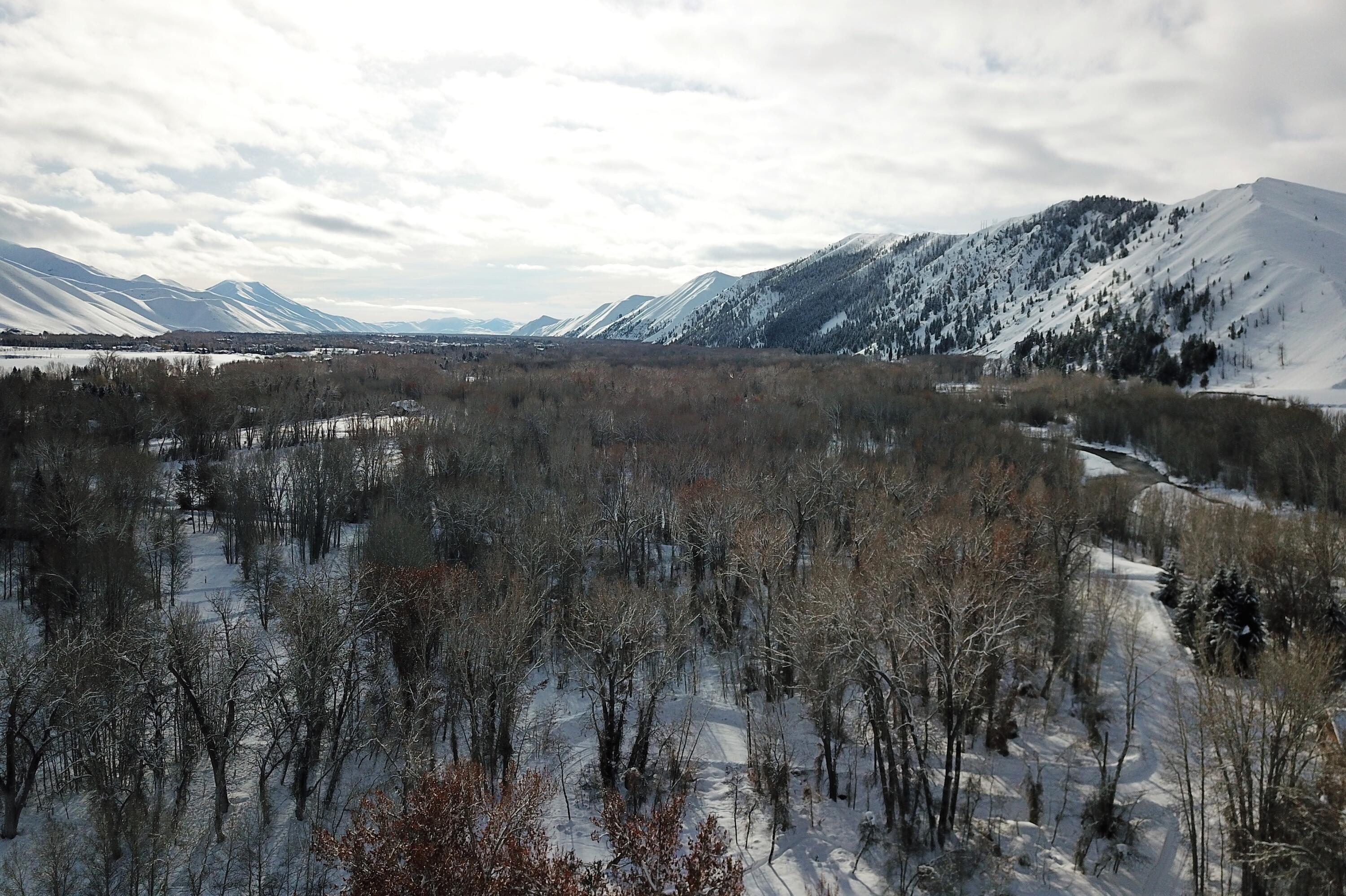 Blaine County, Idaho 83333, United States, ,Land,Active,73901