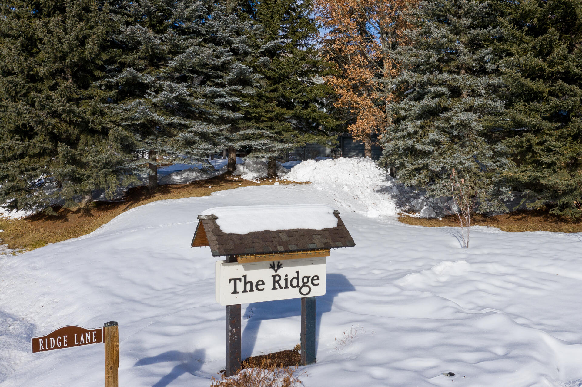 2698 Ridge Lane #98, Sun Valley, Idaho image 18