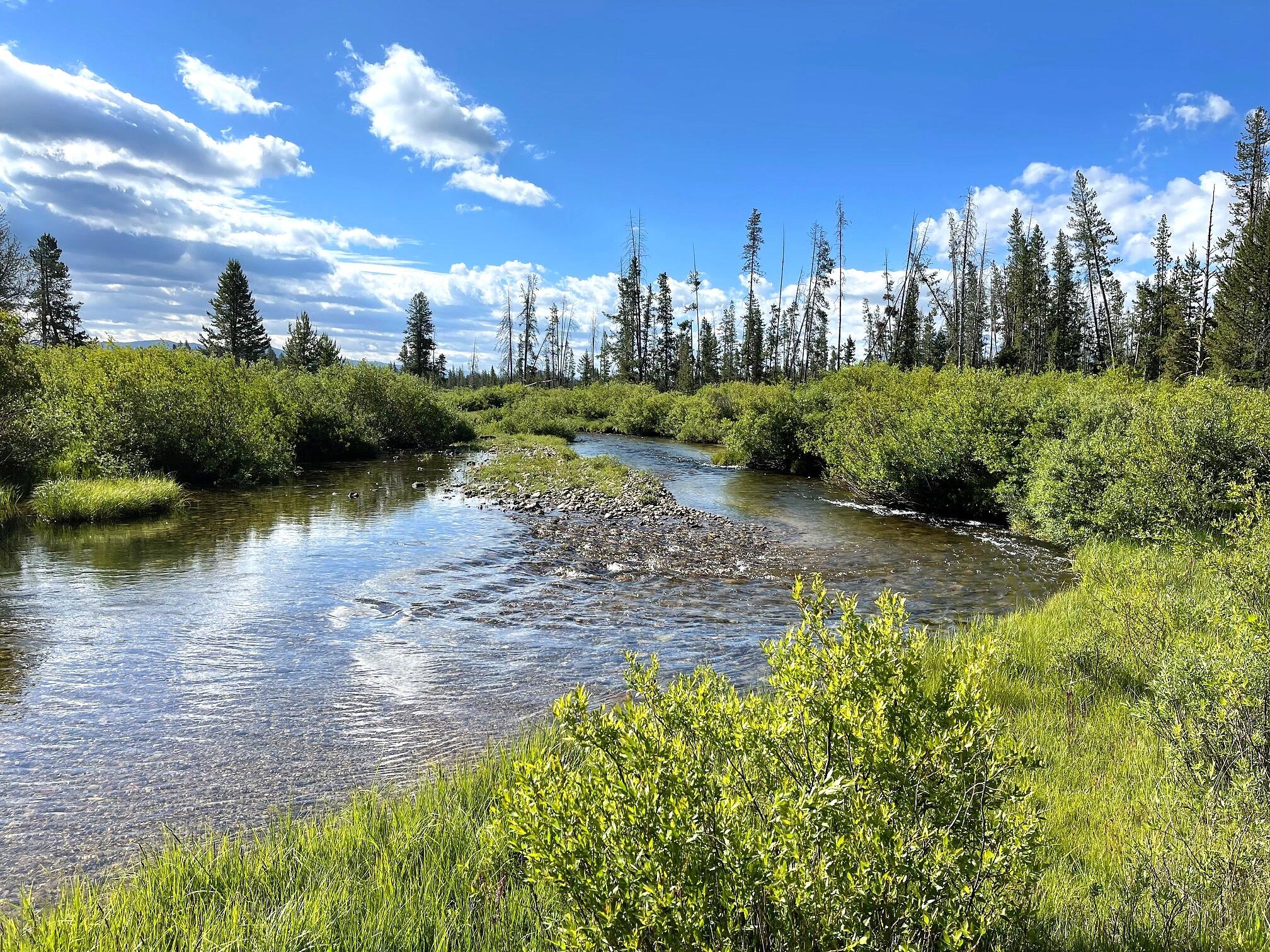 Highway 21 & Cow Camp Rd, Stanley, Idaho image 13