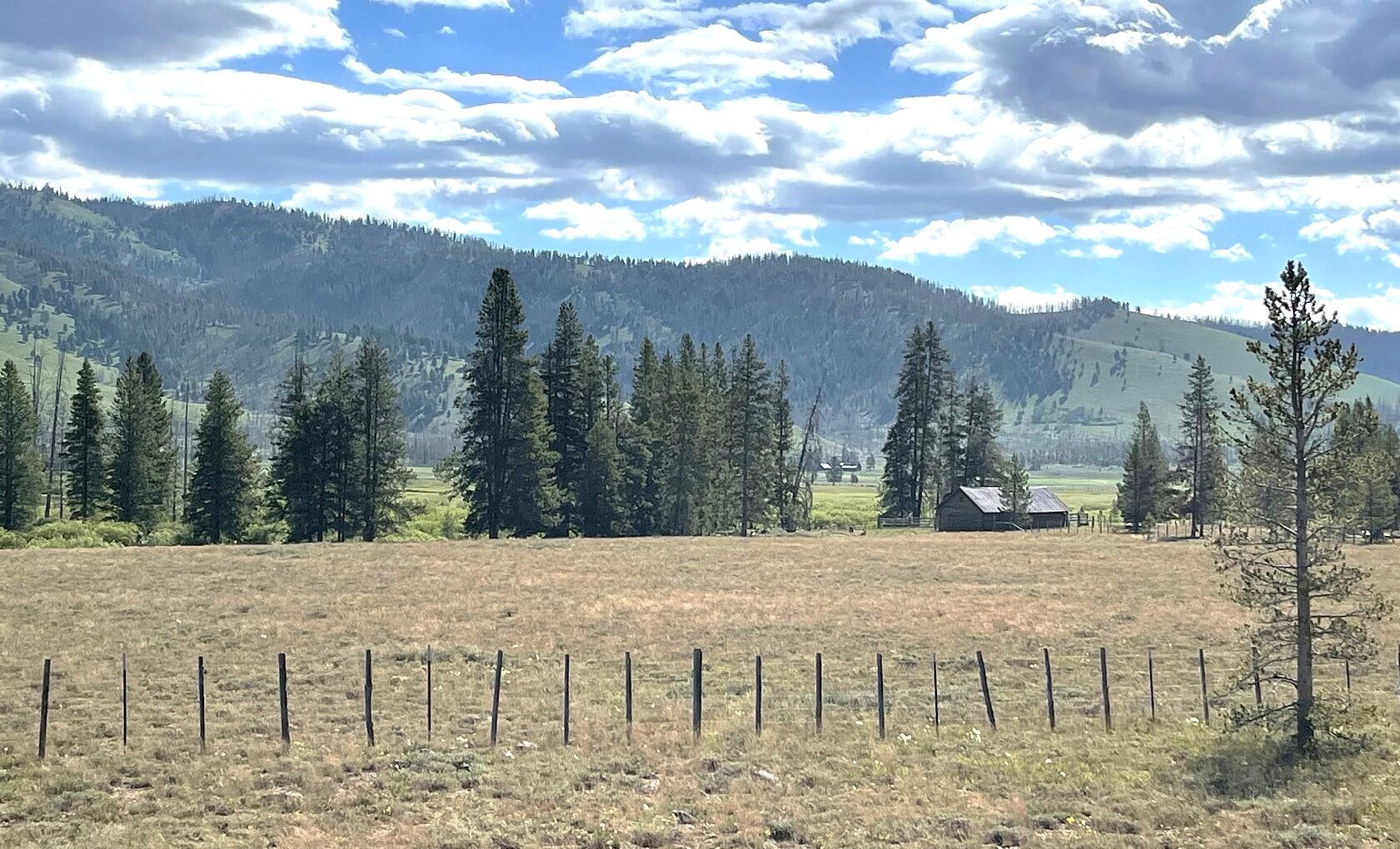 Highway 21 & Cow Camp Rd, Stanley, Idaho image 8