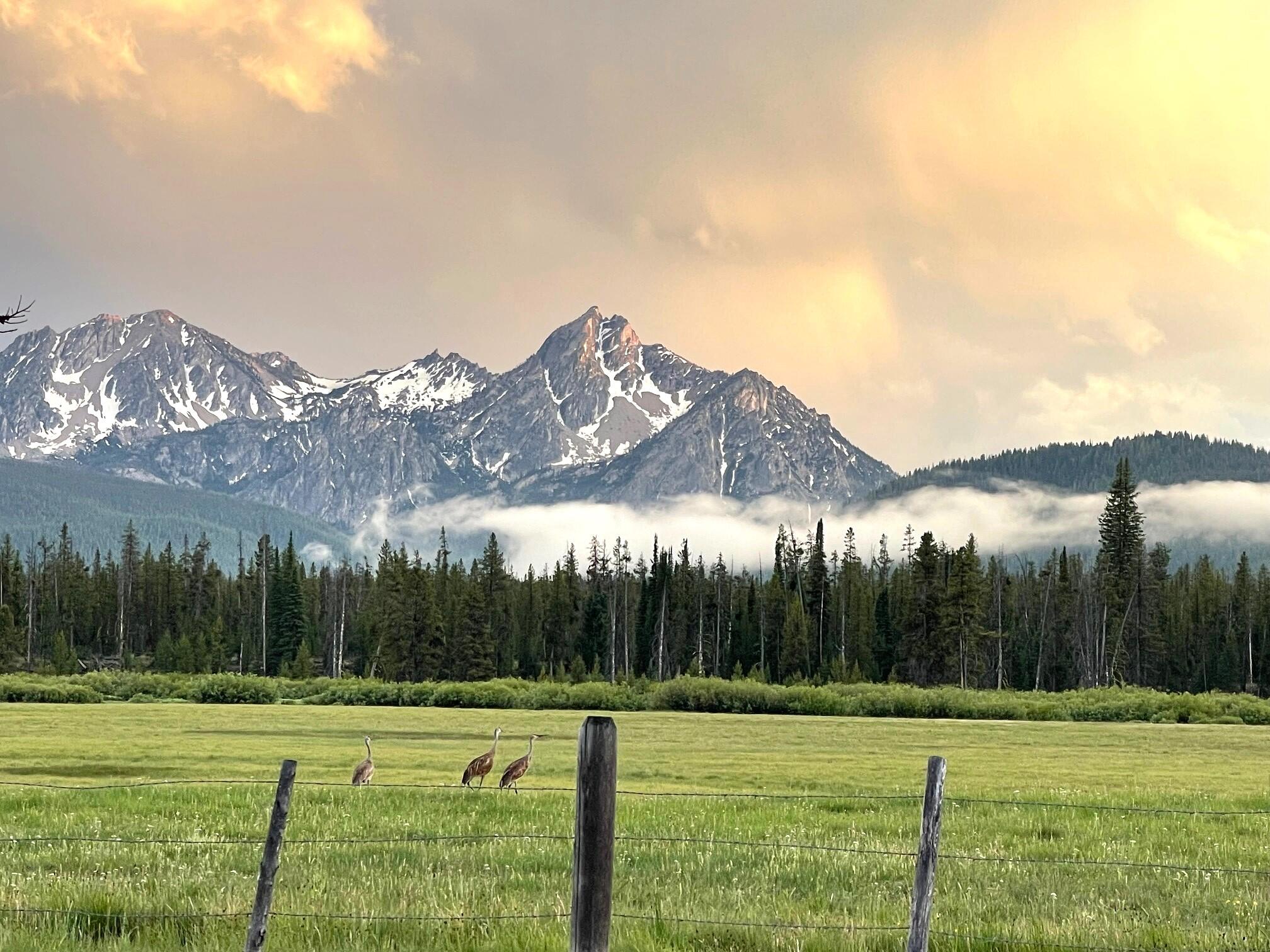 Highway 21 & Cow Camp Rd, Stanley, Idaho image 1