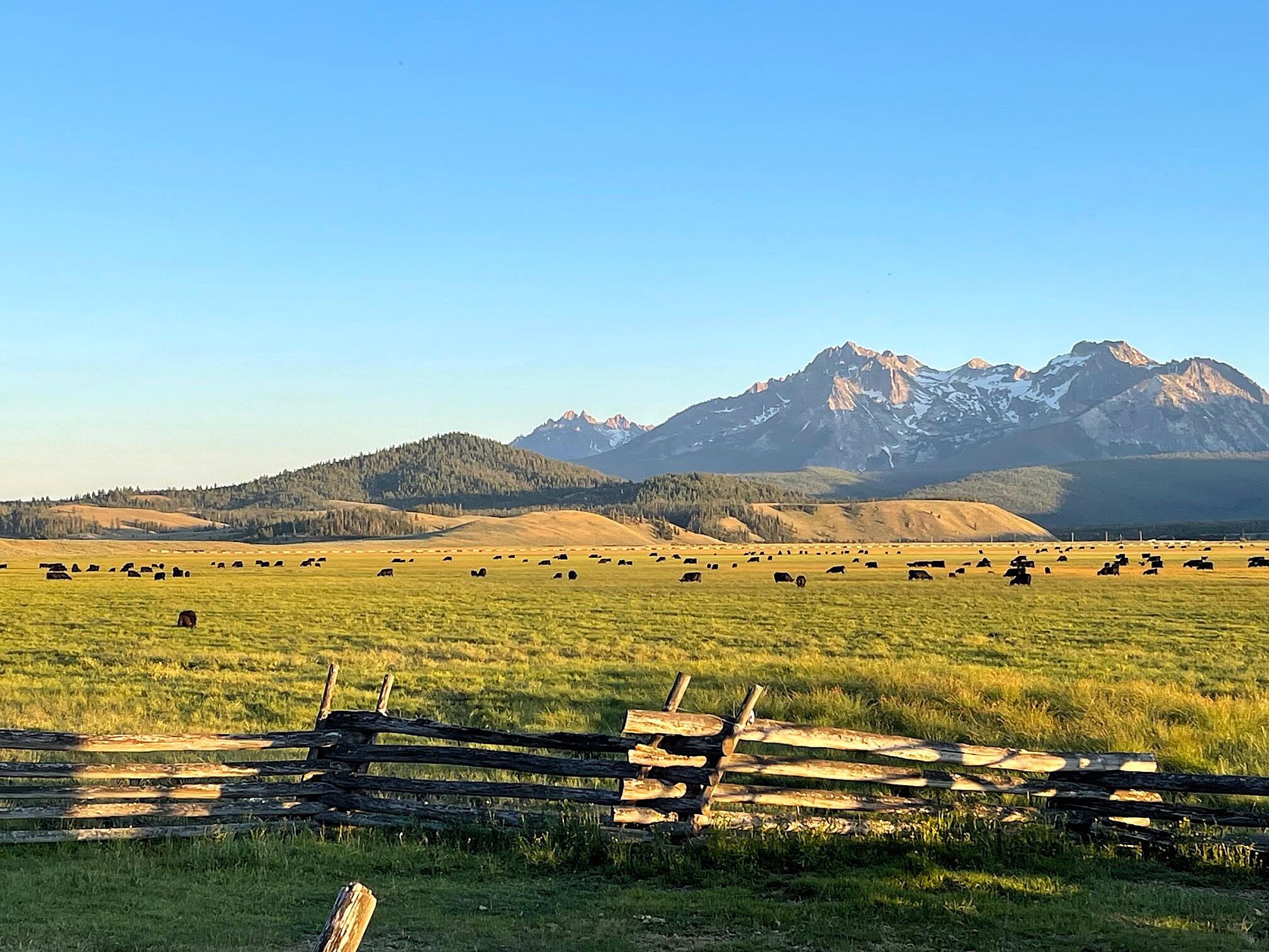 Highway 21 & Cow Camp Rd, Stanley, Idaho image 9