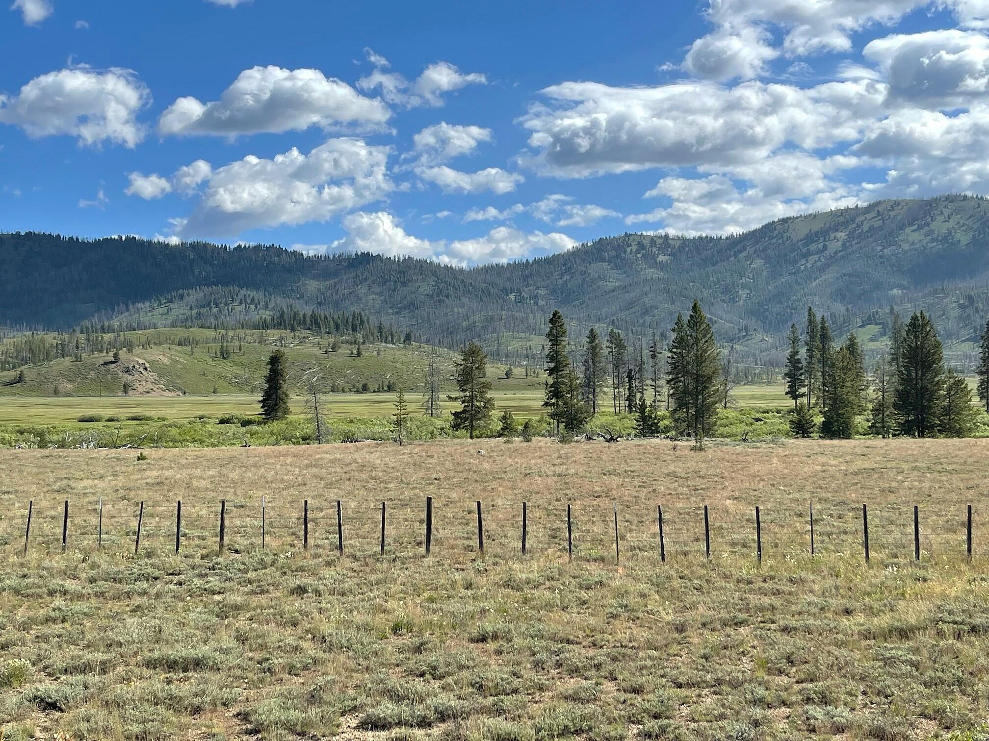 Highway 21 & Cow Camp Rd, Stanley, Idaho image 7