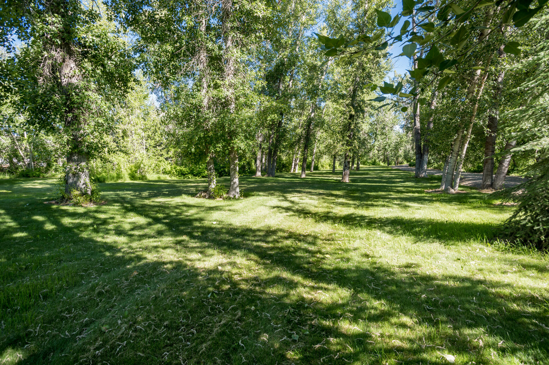 100 & 200 Trout Lane, Bellevue, Idaho image 5