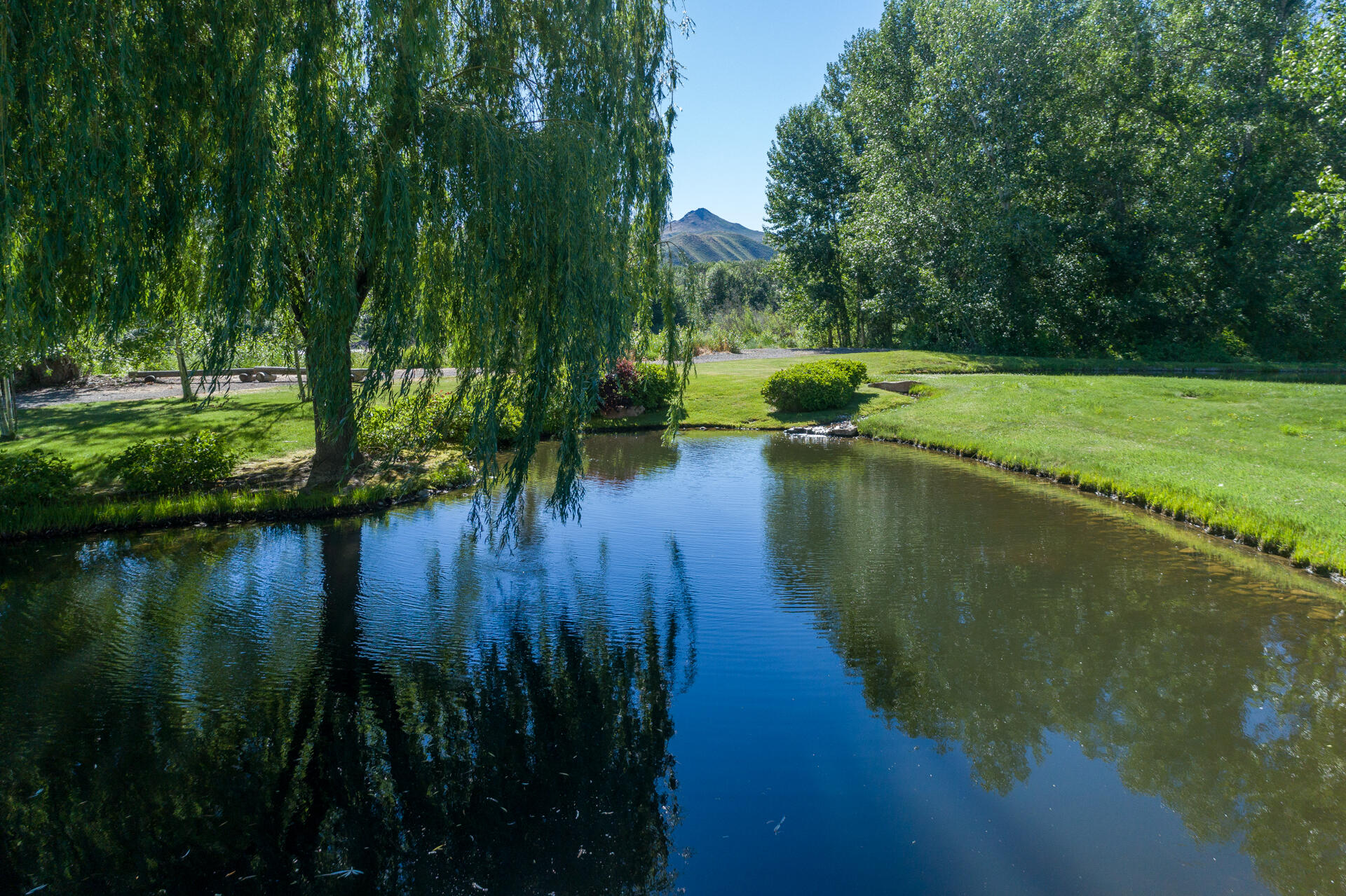 100 & 200 Trout Lane, Bellevue, Idaho image 1