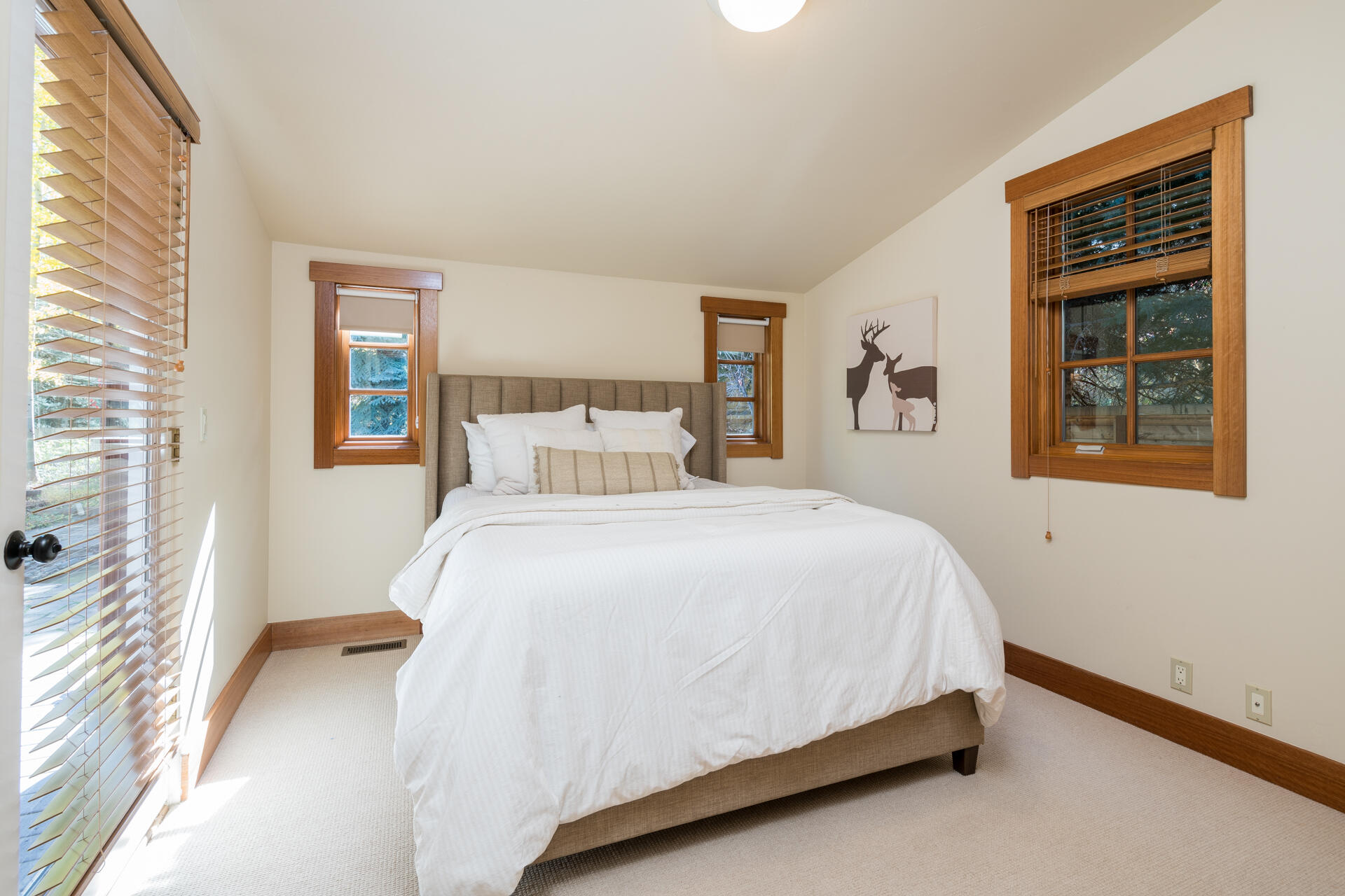 110 Buss Elle Dr, Ketchum, Idaho image 17