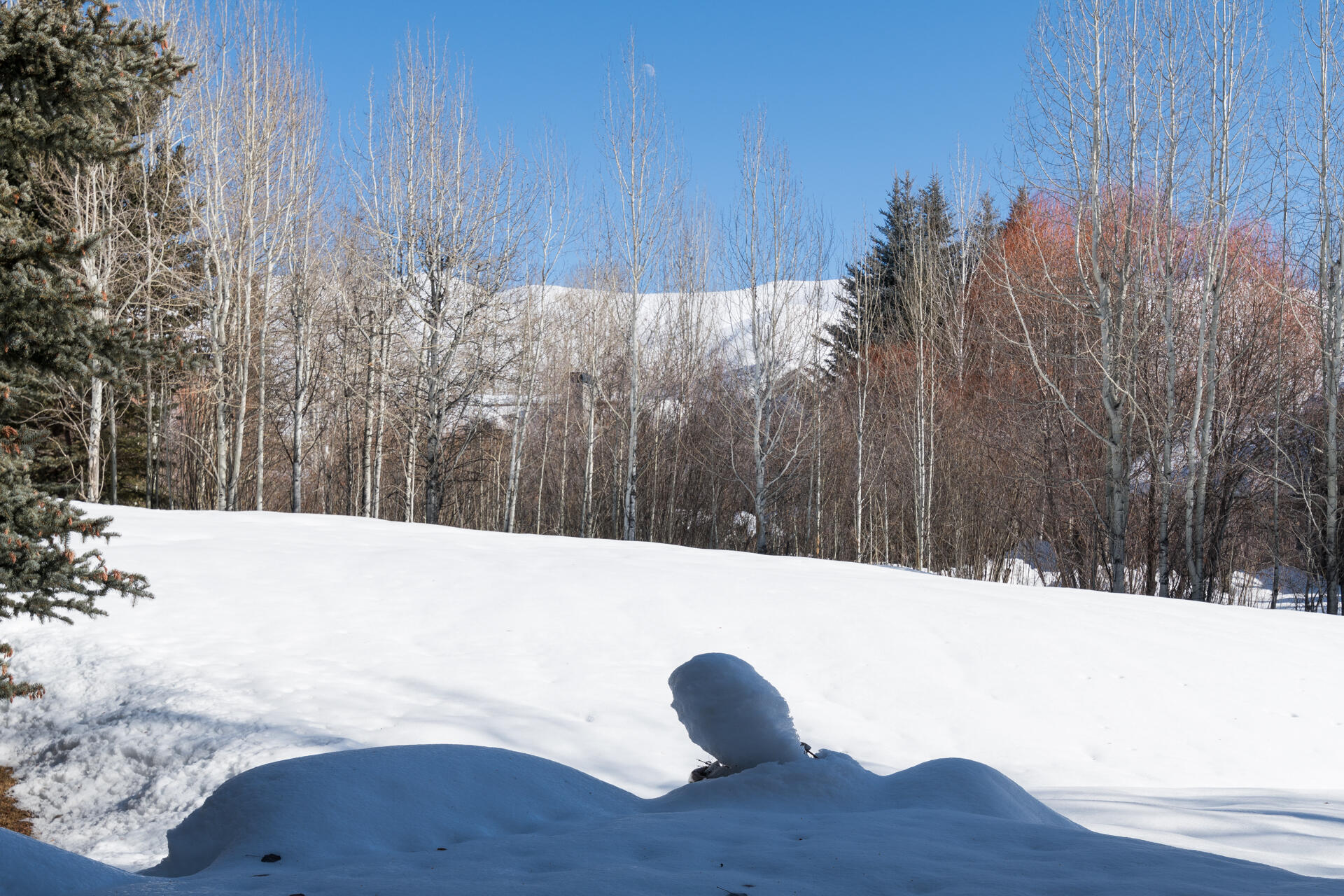 17 Buck Lane Lane, Sun Valley, Idaho image 12