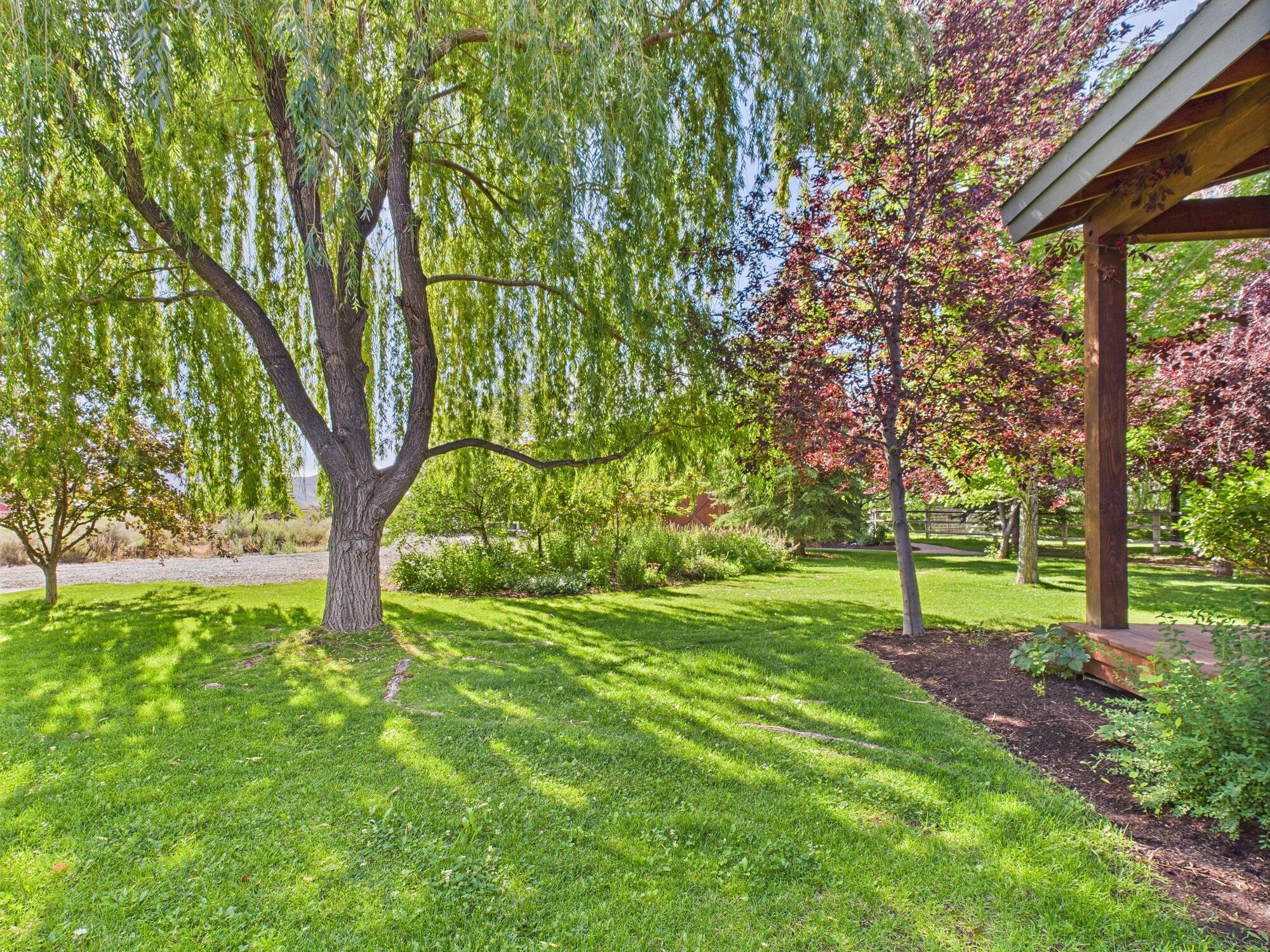 CAM03555G0-PR0089-STILL039