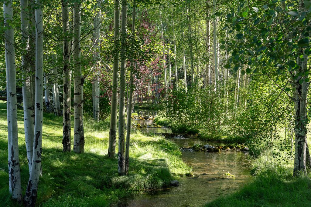 17 W Lane Ranch Road Lane W Sun Valley, ID MLS 24331522 4 Bed, 5 Bath, 5813 Sqft Home