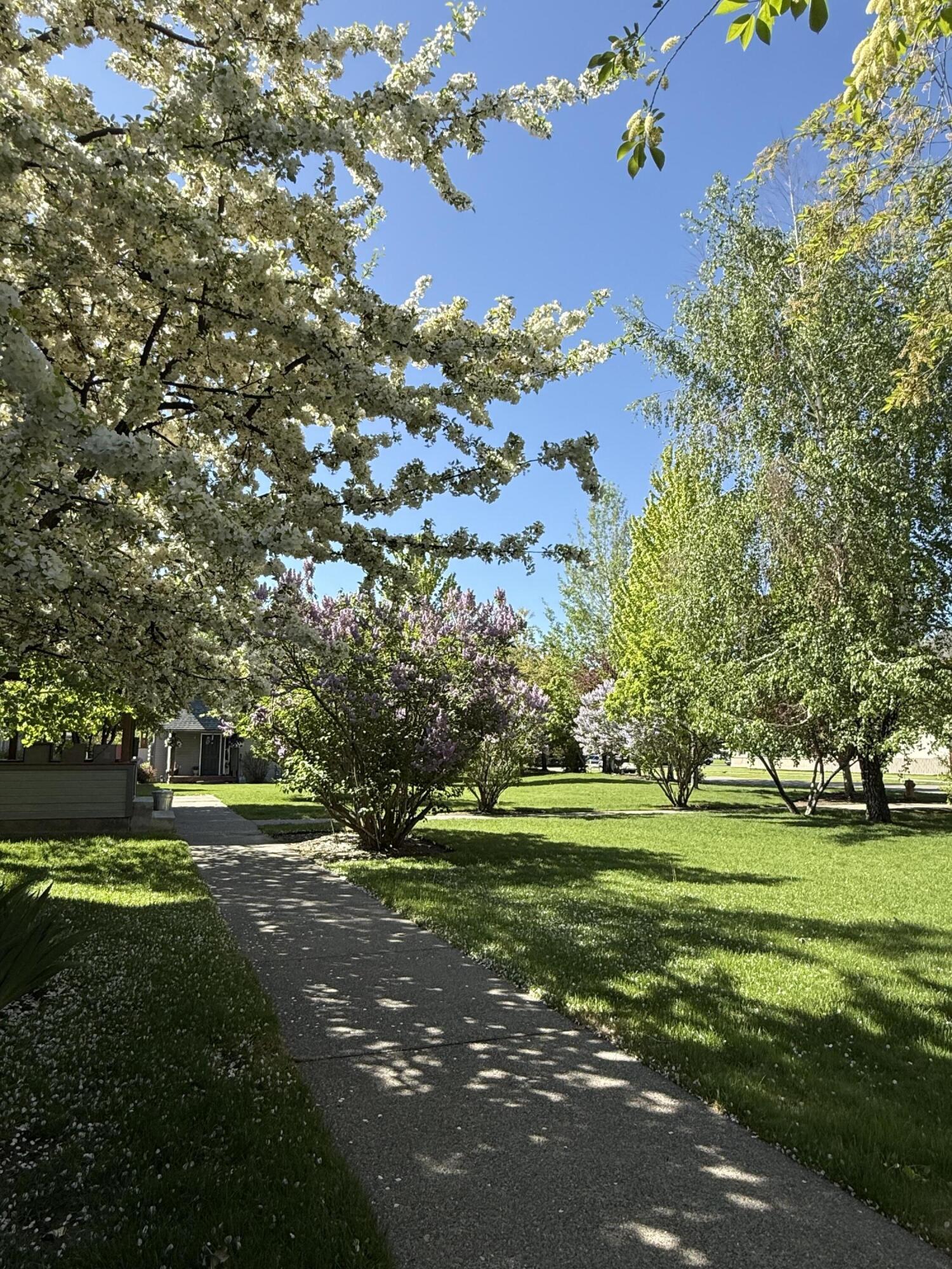 720 S 4th Ave #A1, Hailey, Idaho image 35