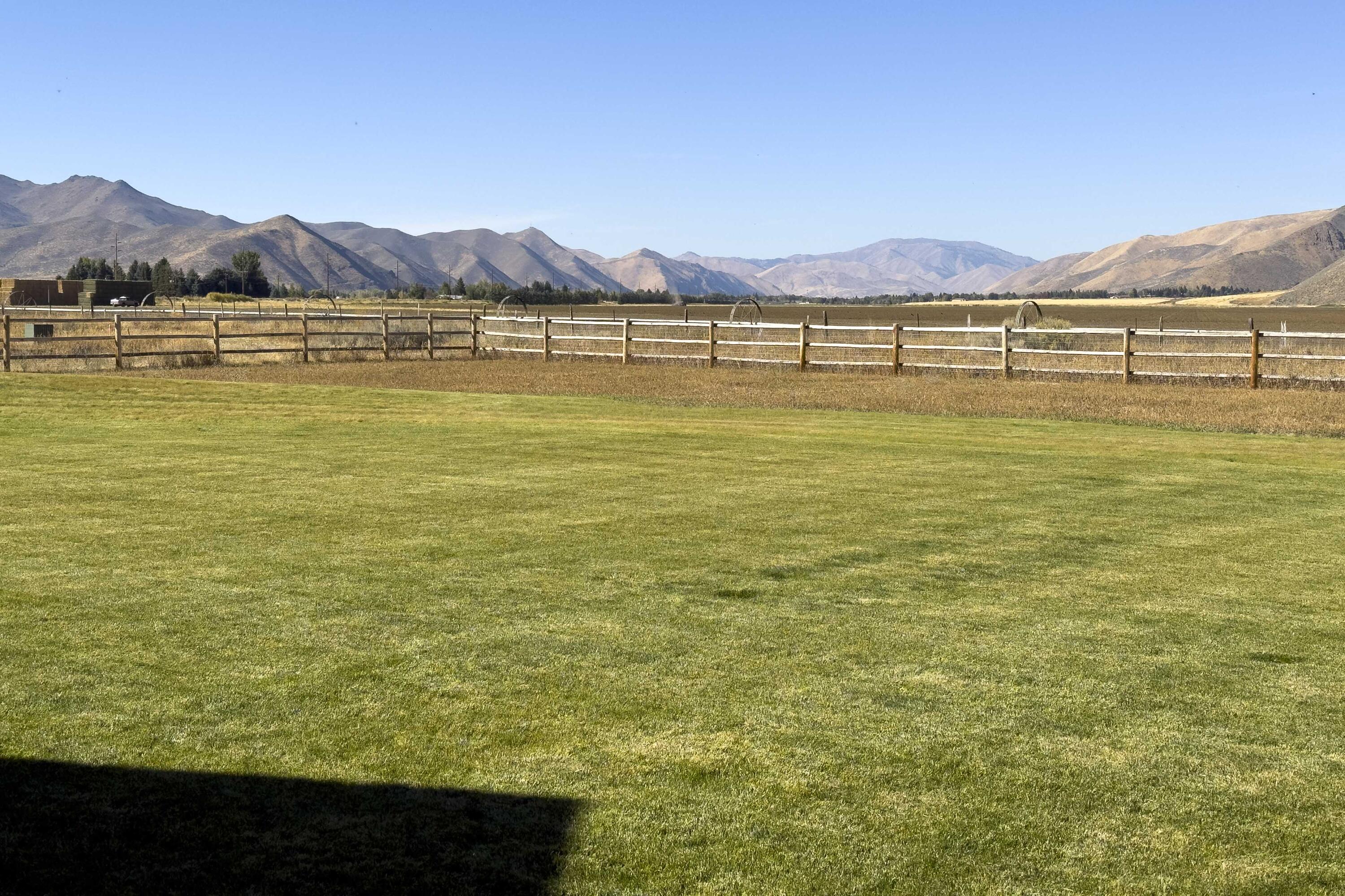 Back yard