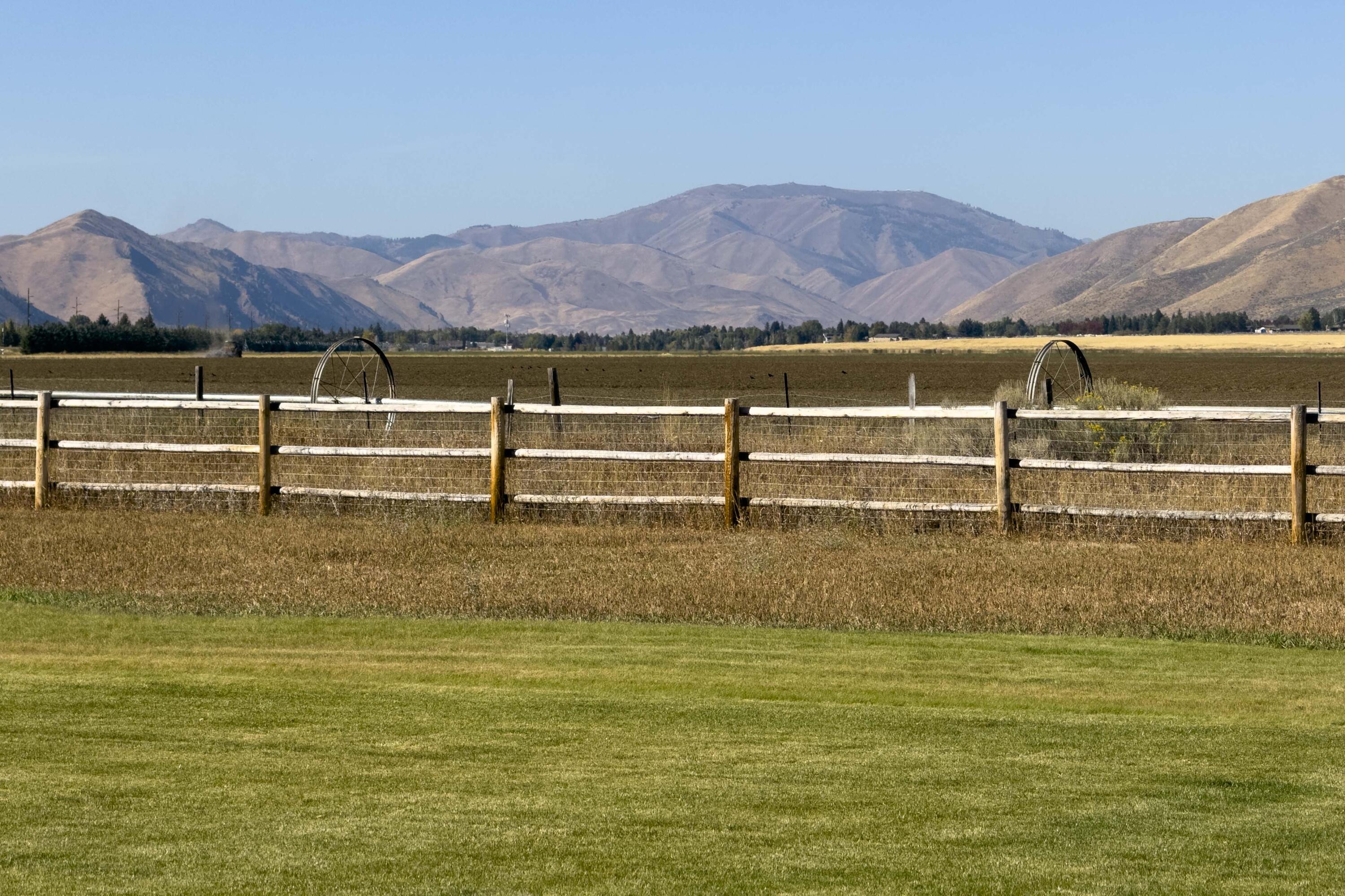 Fencing