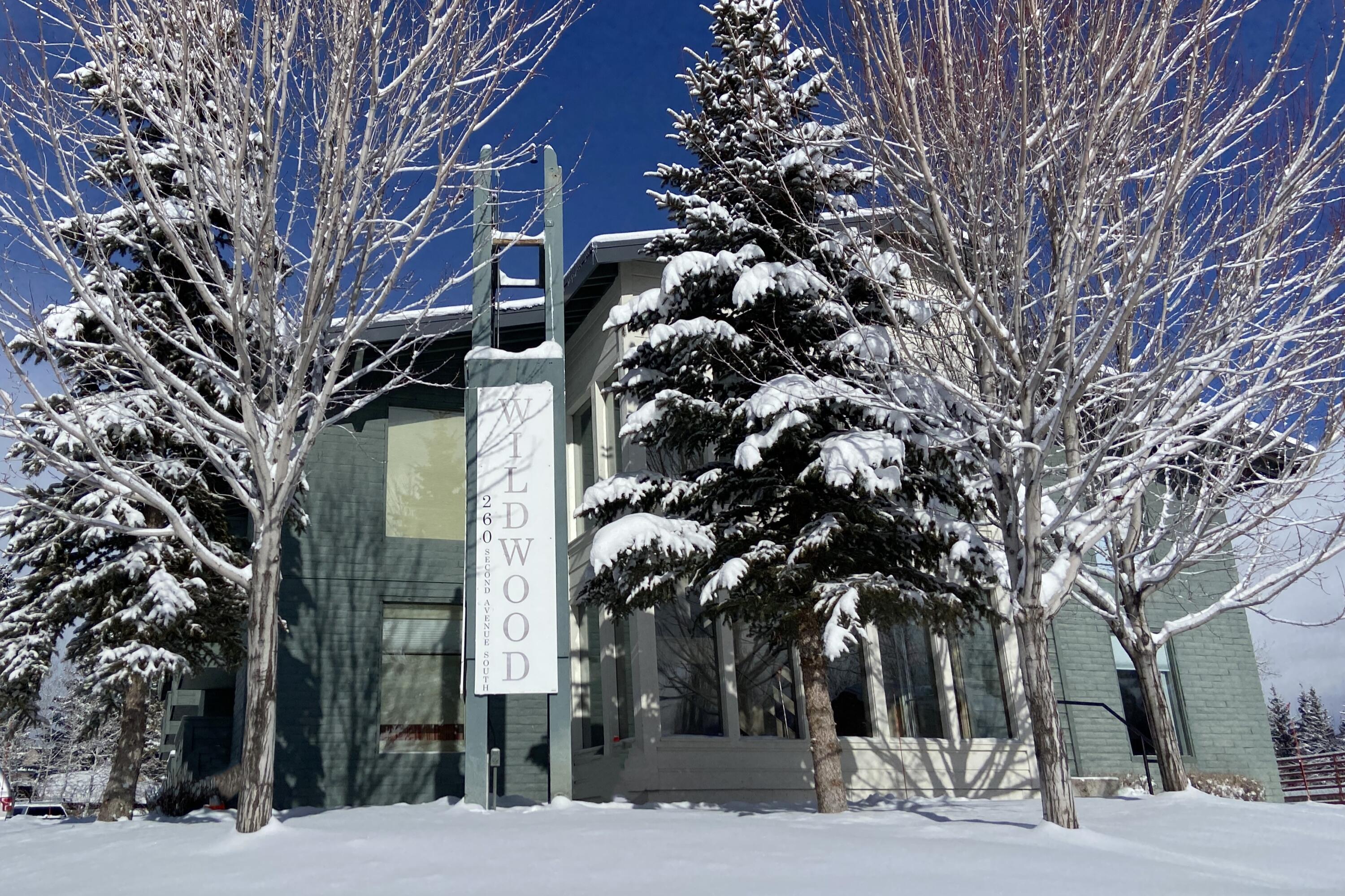 Ketchum, Idaho 83340, United States, ,1 BathroomBathrooms,Residential,Pending,67061