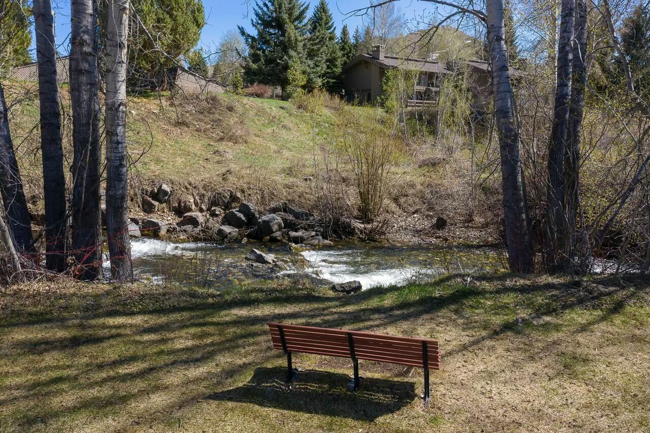 1035 Atelier Condo Dr, Sun Valley, Idaho image 9