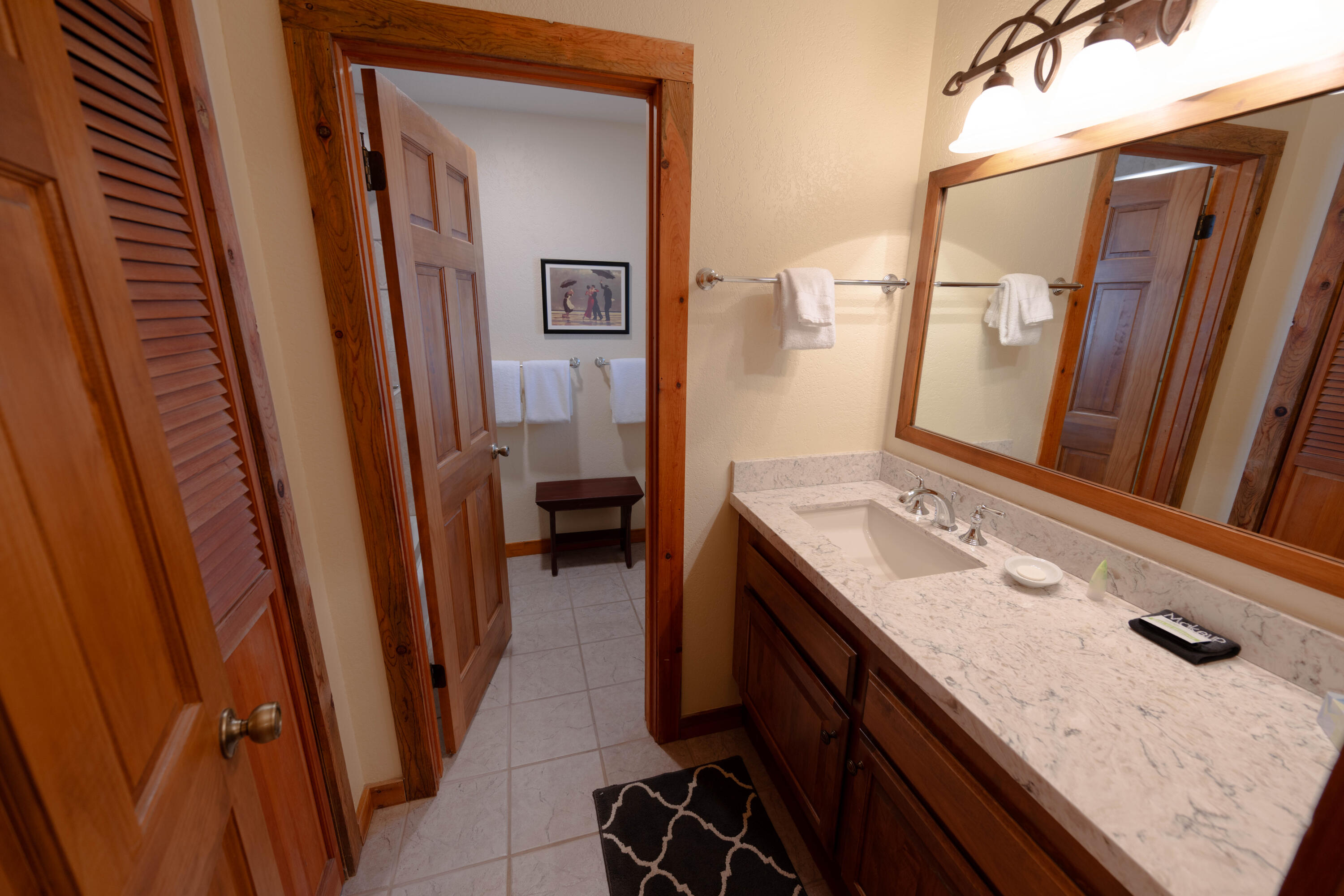 Lower Level Bathroom