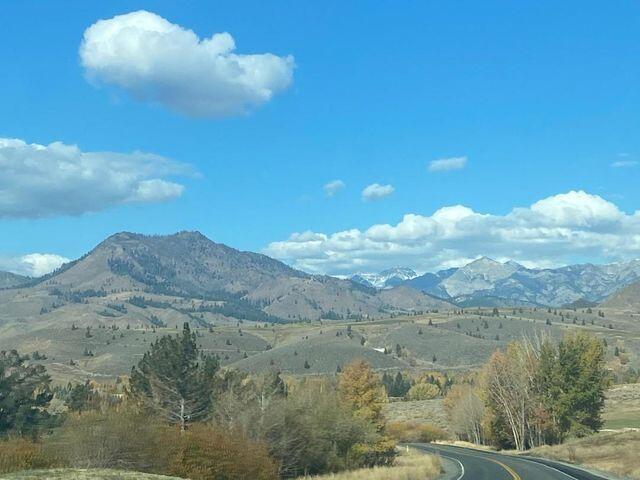 elkhorn mountain views