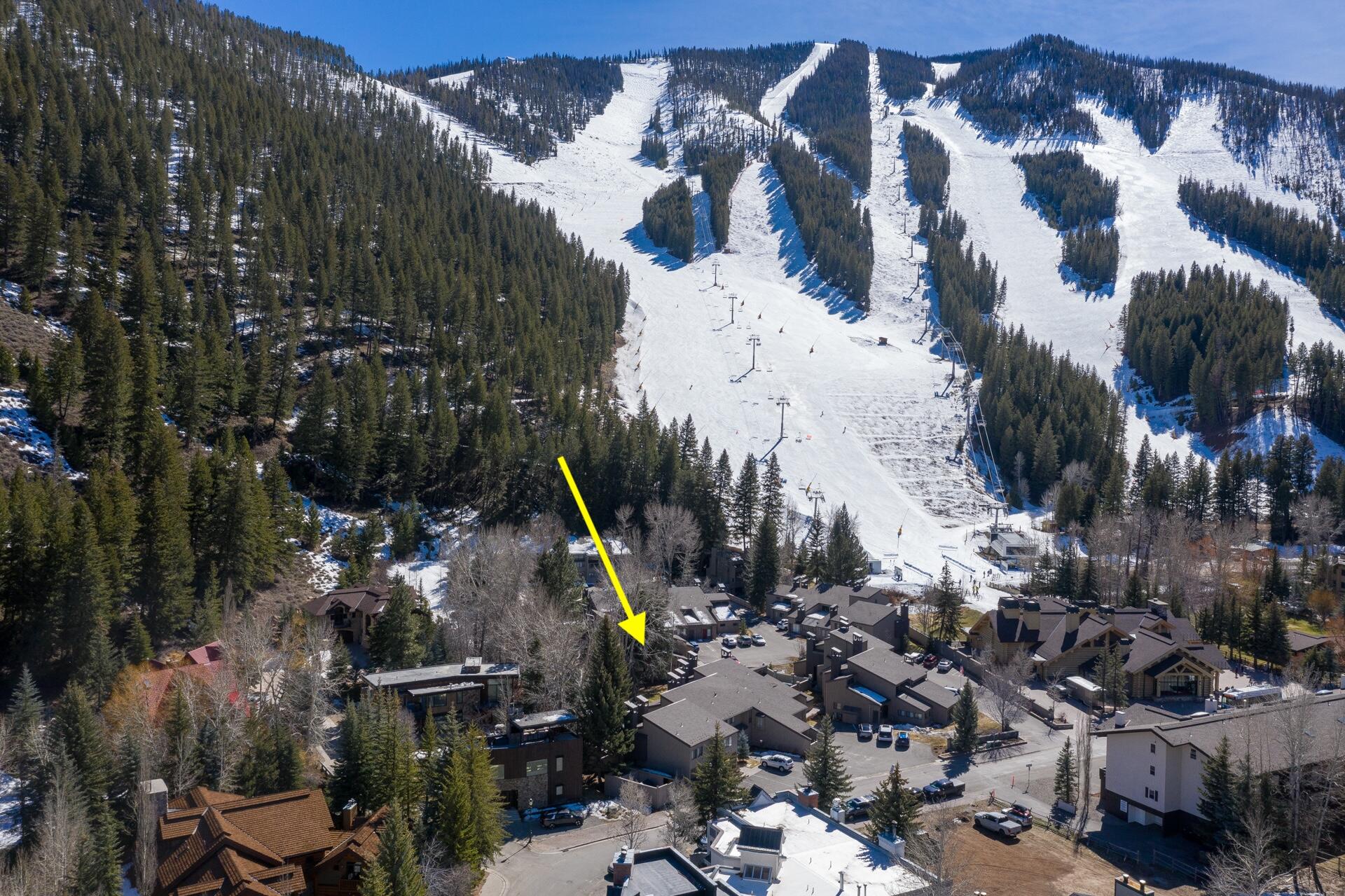 Baldy View with Arrow