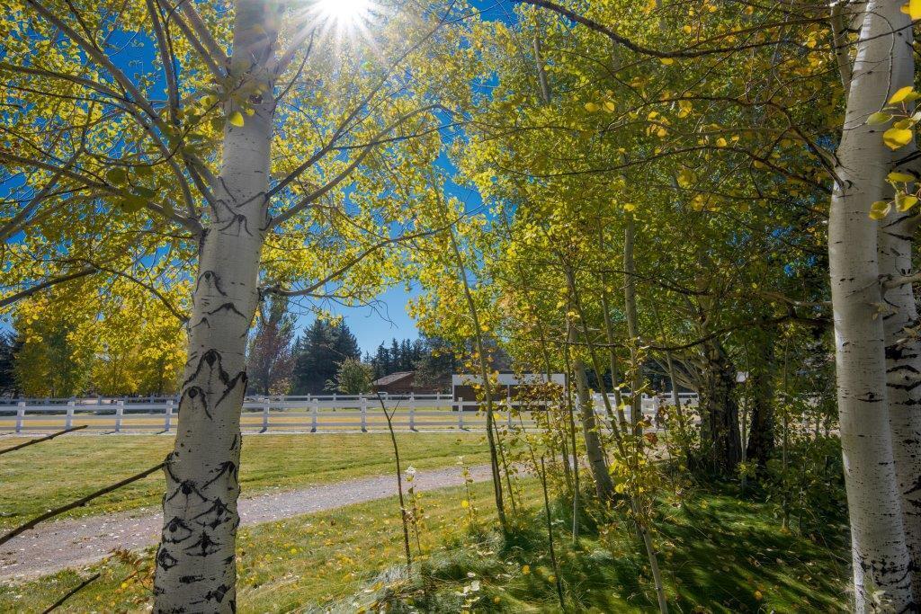 162 S Hiawatha Dr, Hailey, Idaho image 8