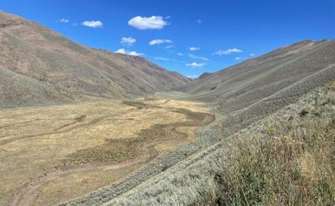 Vacant Land For Sale - 107 Billings Ct<br/> Blaine County, Bellevue, ID 83313