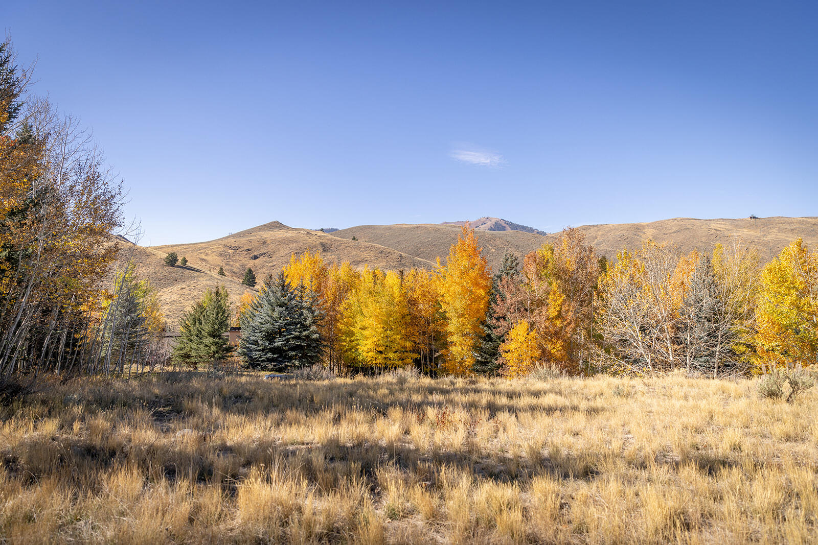 119 Highlands Dr, Sun Valley, Idaho image 8