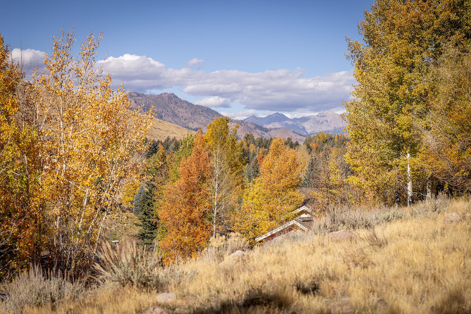 119 Highlands Dr, Sun Valley, Idaho image 1
