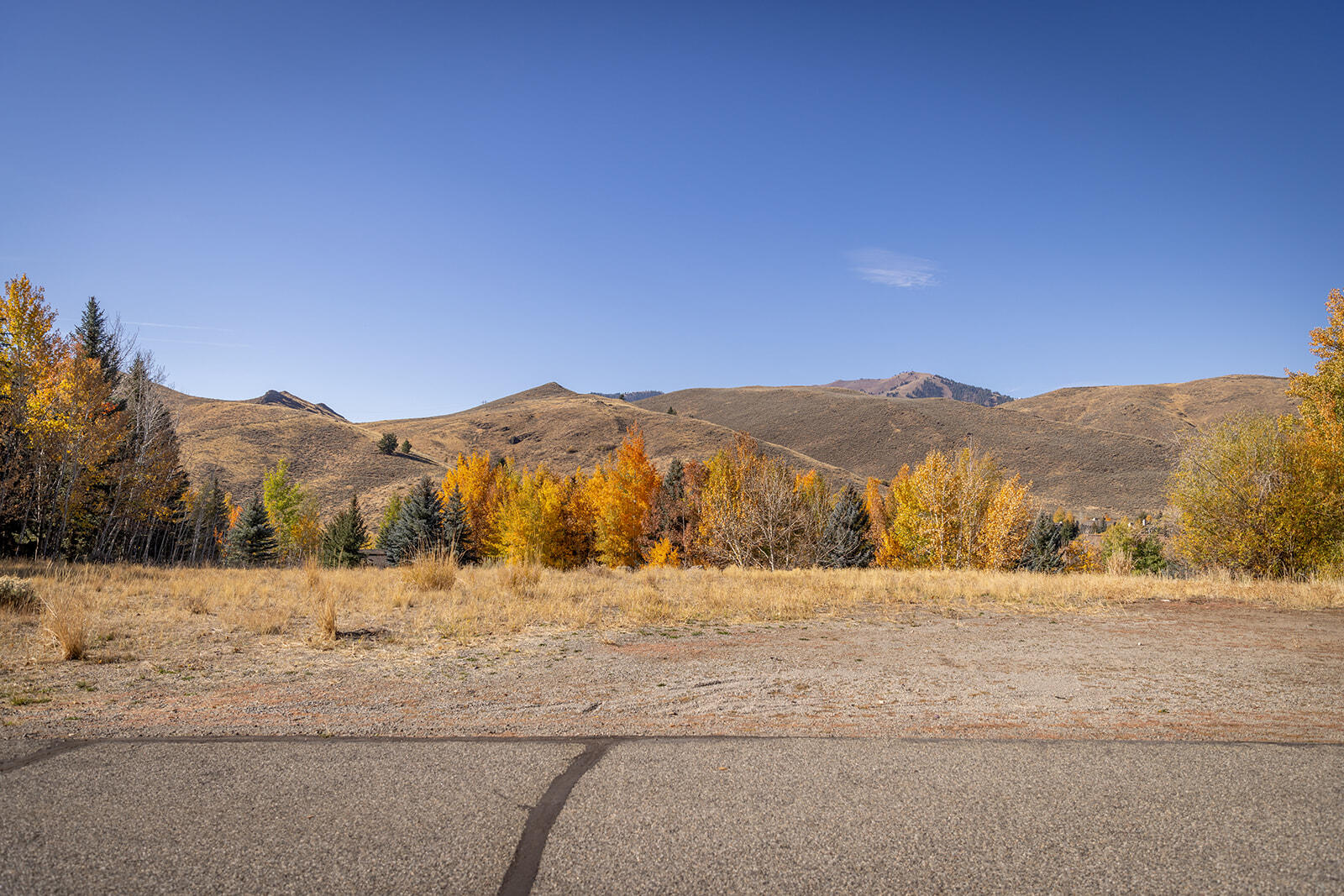 119 Highlands Dr, Sun Valley, Idaho image 9