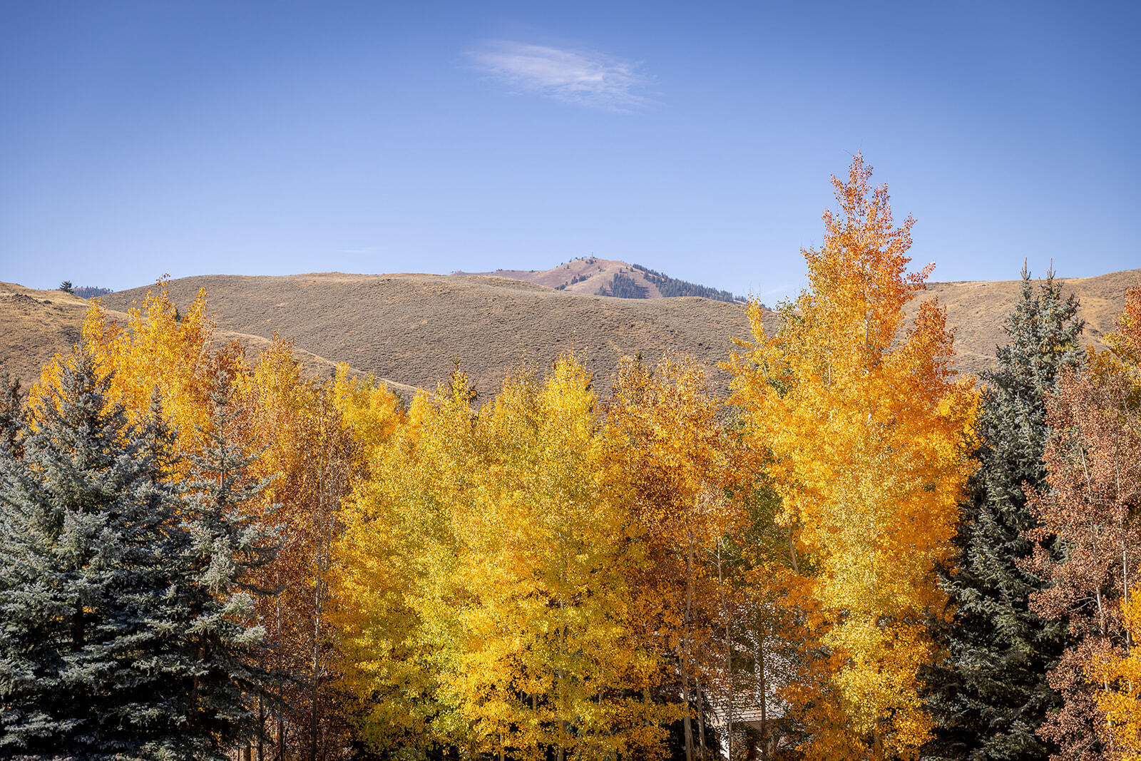 119 Highlands Dr, Sun Valley, Idaho image 5