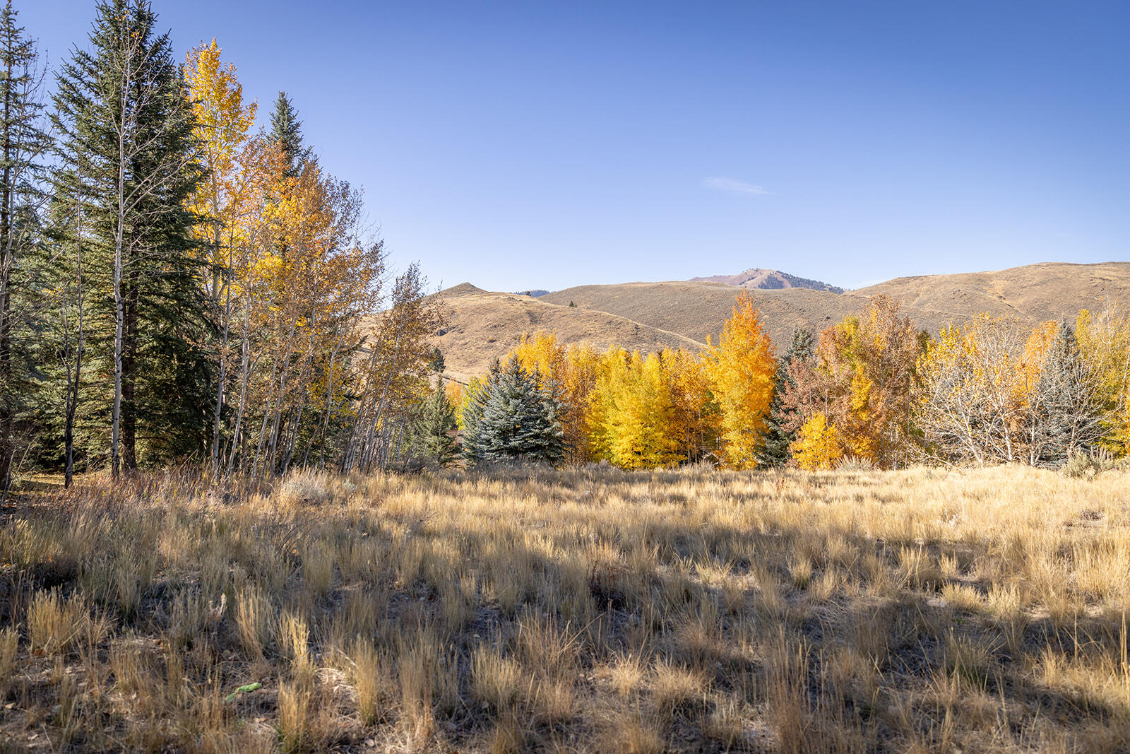119 Highlands Dr, Sun Valley, Idaho image 7