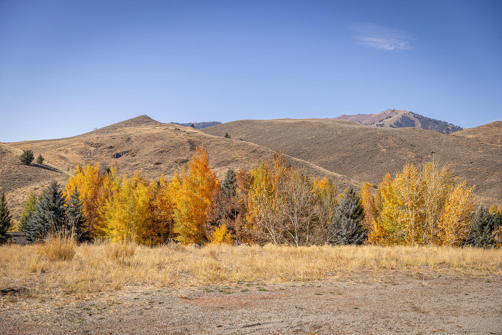 119 Highlands Dr, Sun Valley, Idaho image 6