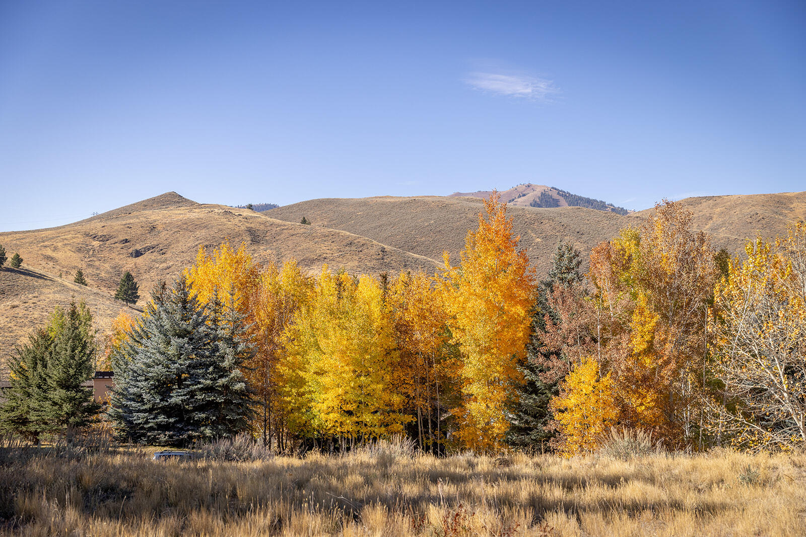 119 Highlands Dr, Sun Valley, Idaho image 4