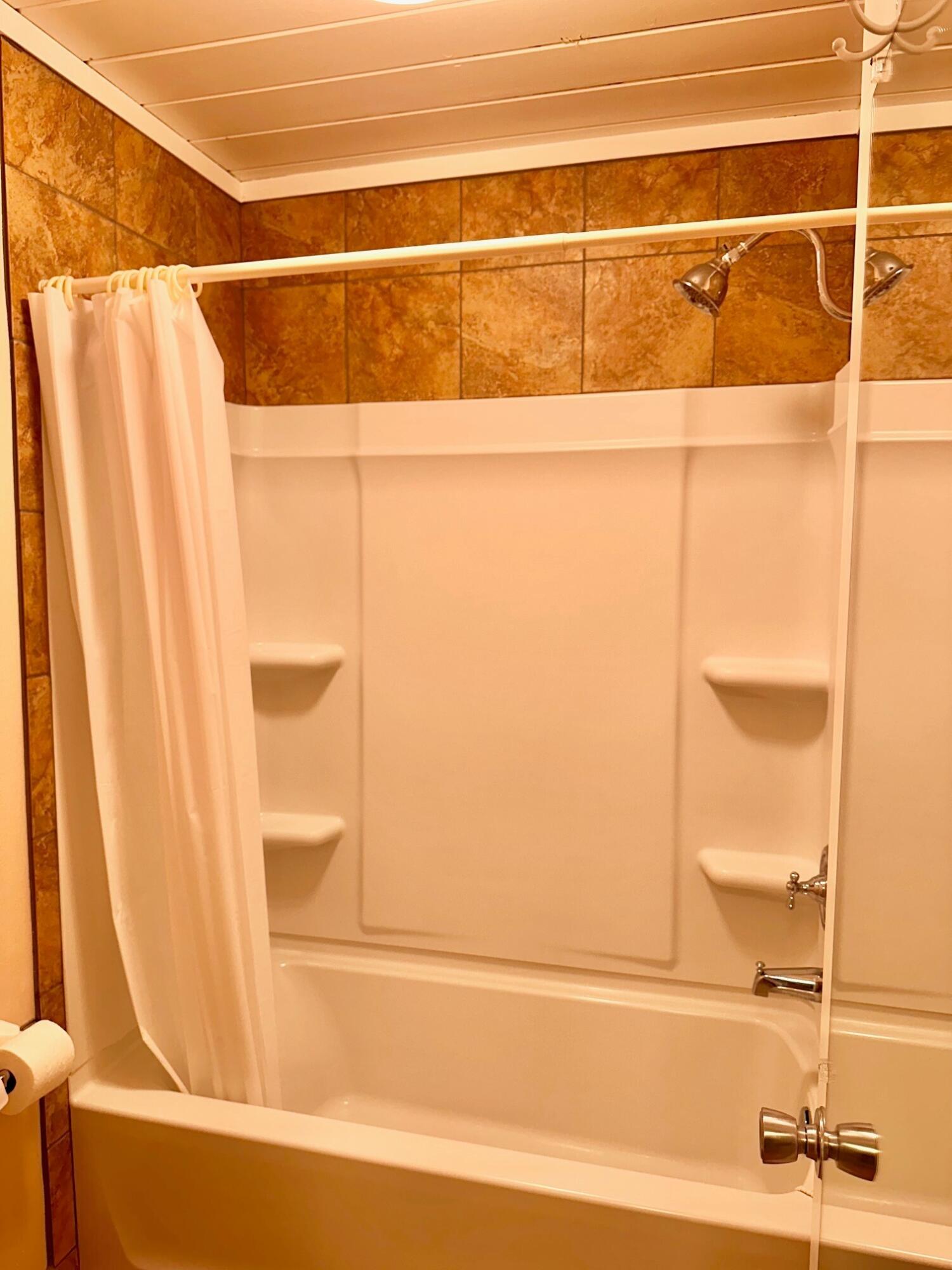 Main Full Bath and Shower