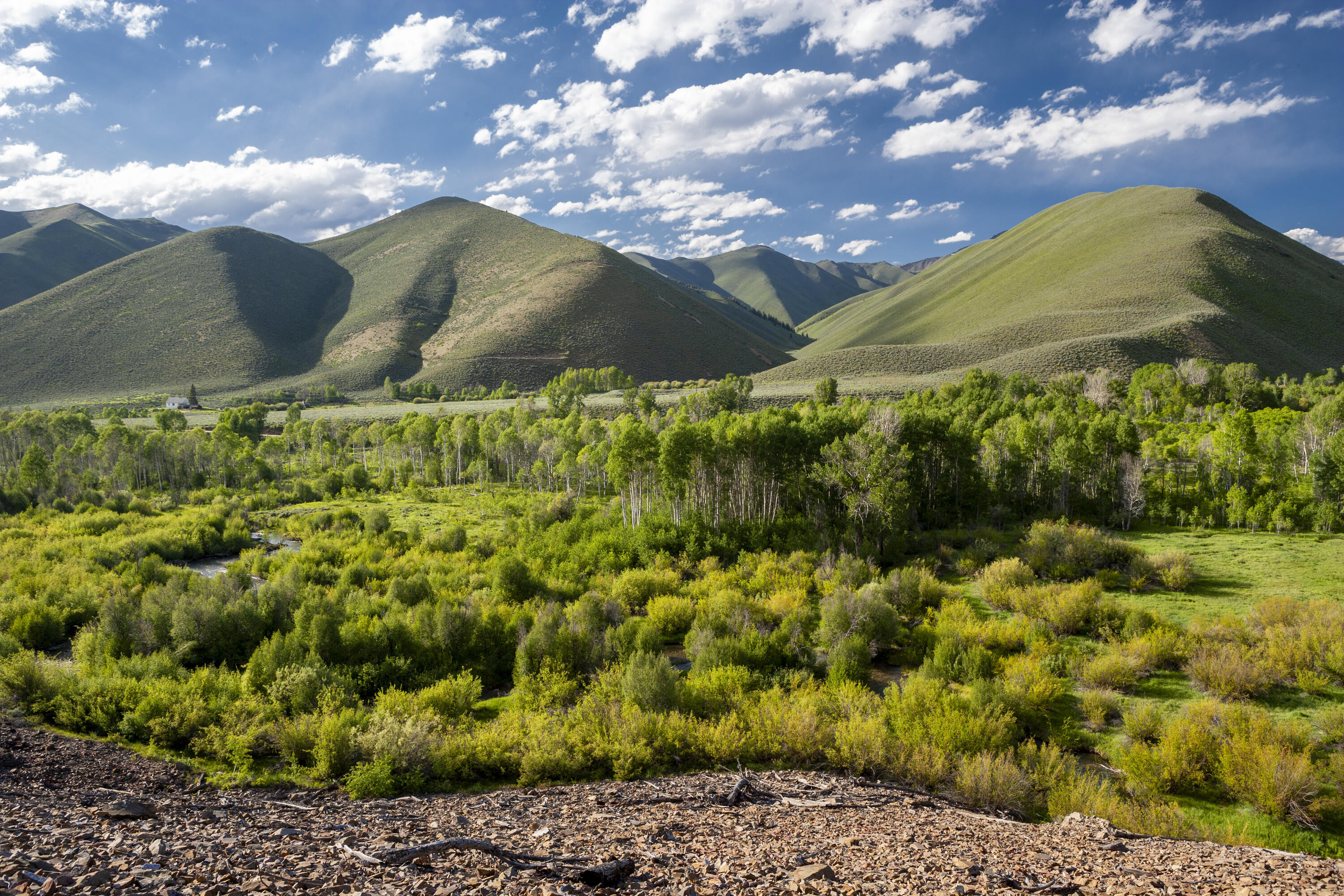 TBD Lot 1 East Fork Rd, Hailey, Idaho image 1