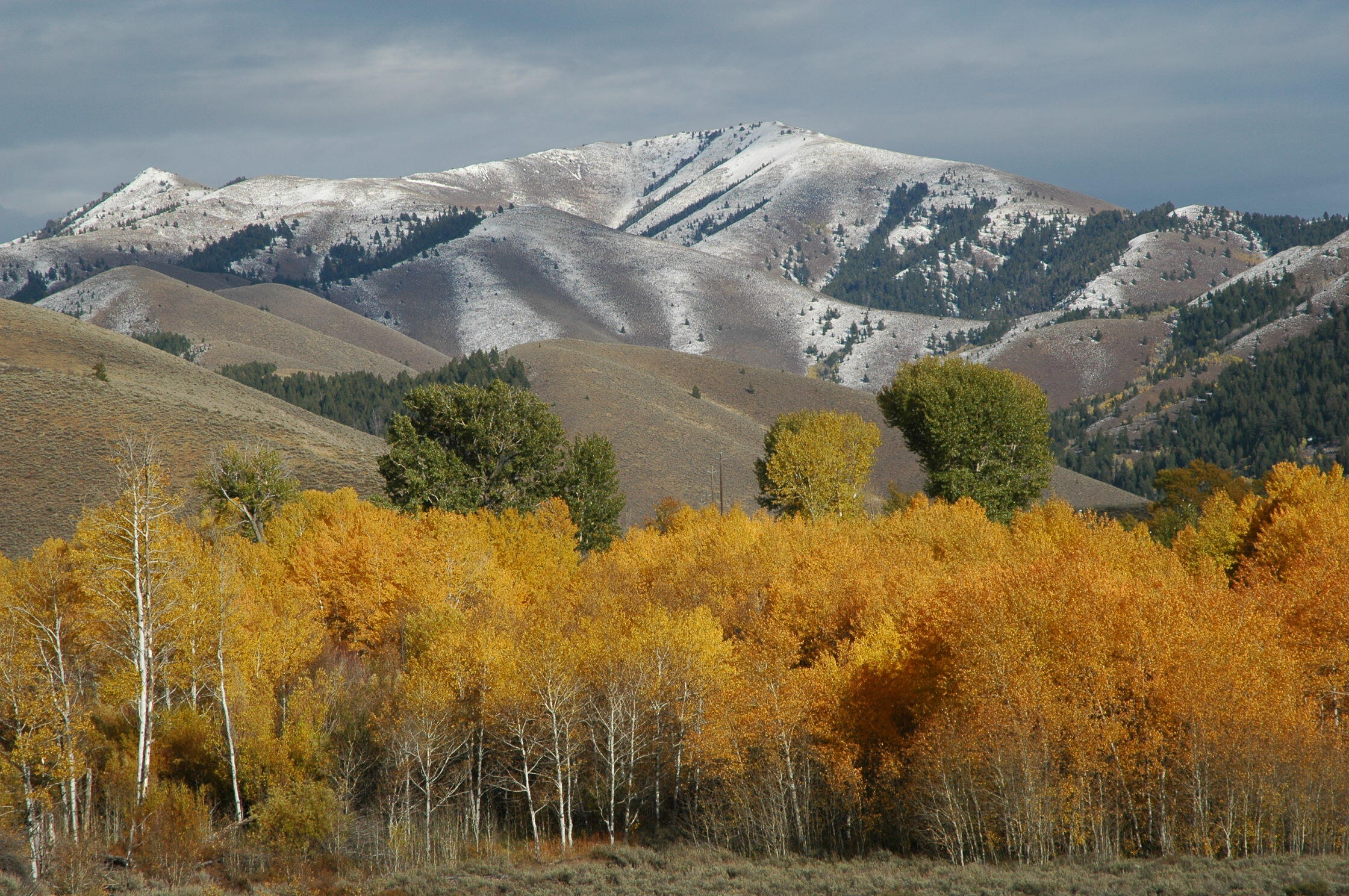 TBD Lot 1 East Fork Rd, Hailey, Idaho image 15