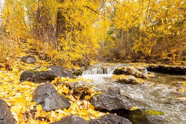 Trail Creek