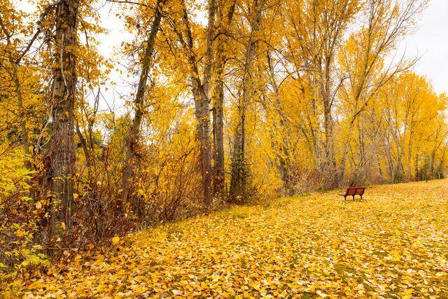 Trail Creek just Outside